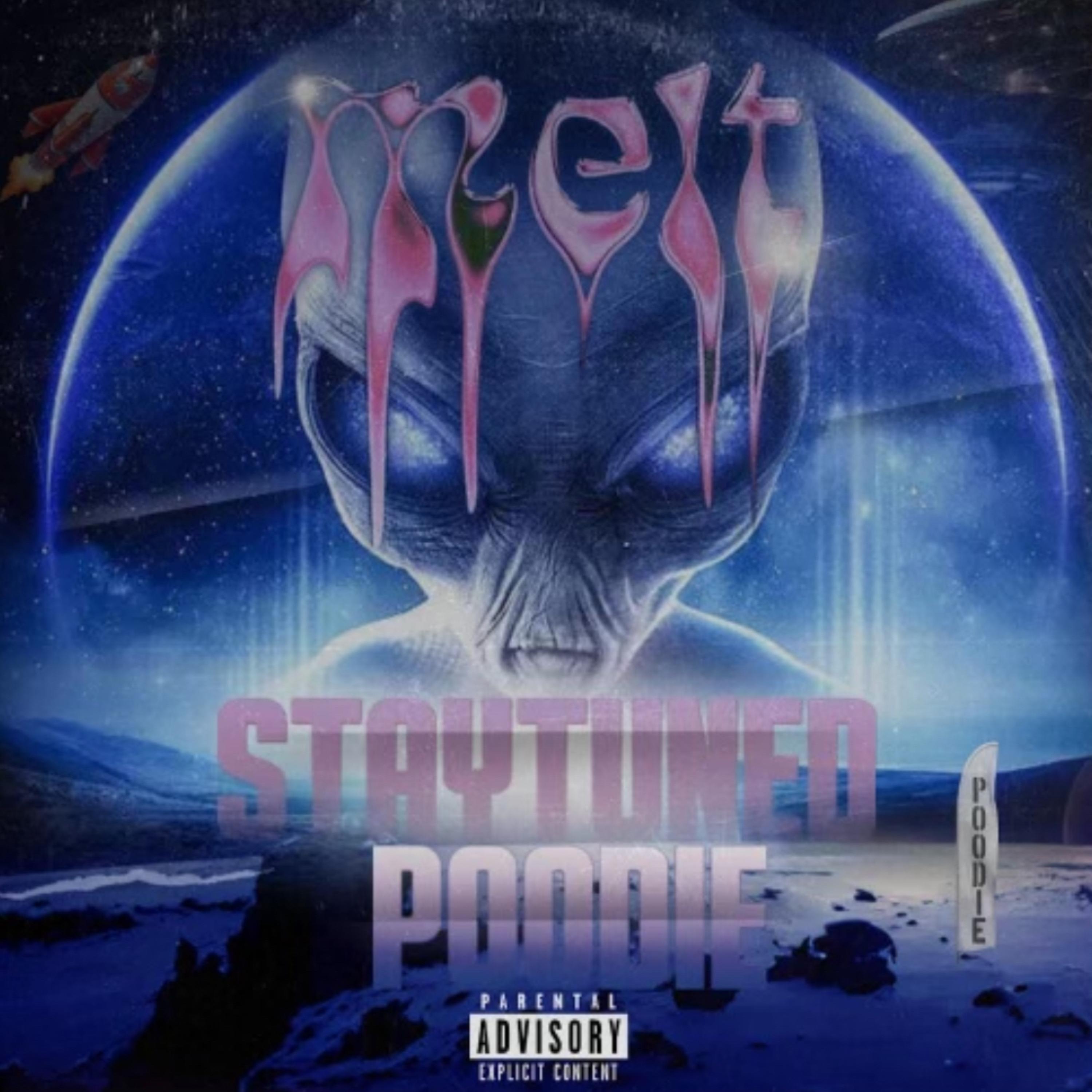 MELT by STAYTUNED POODIE cover art