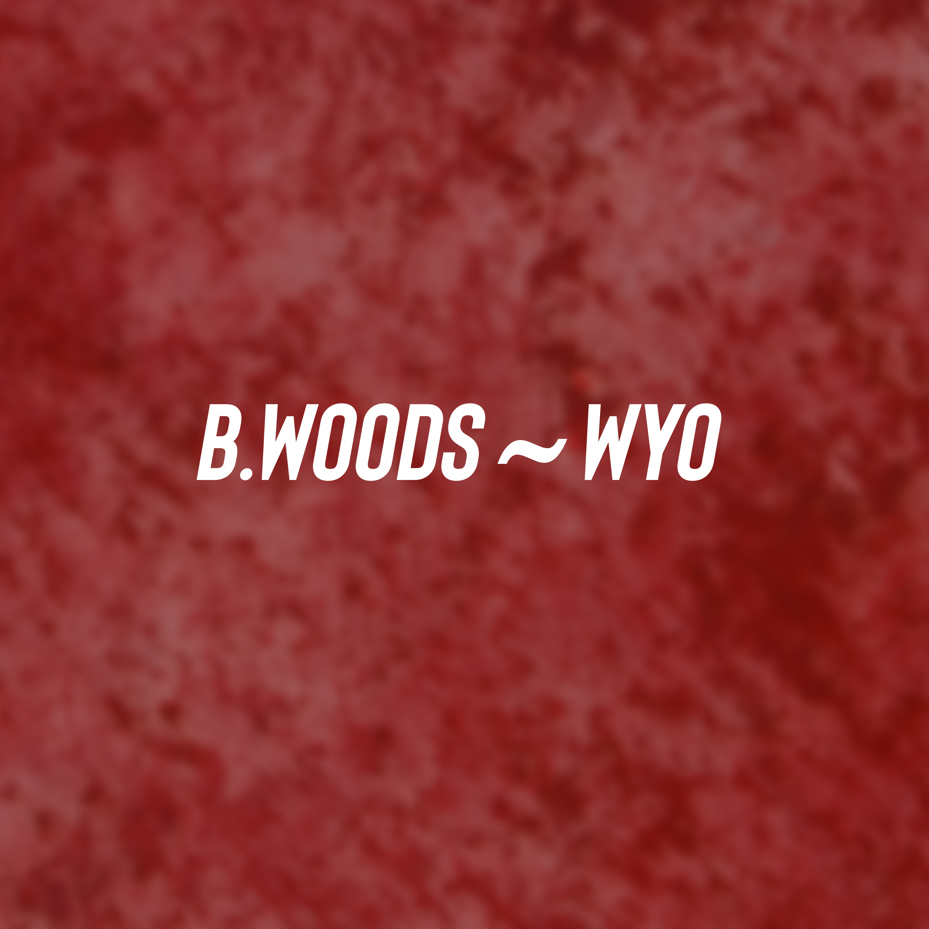 Wyo artwork