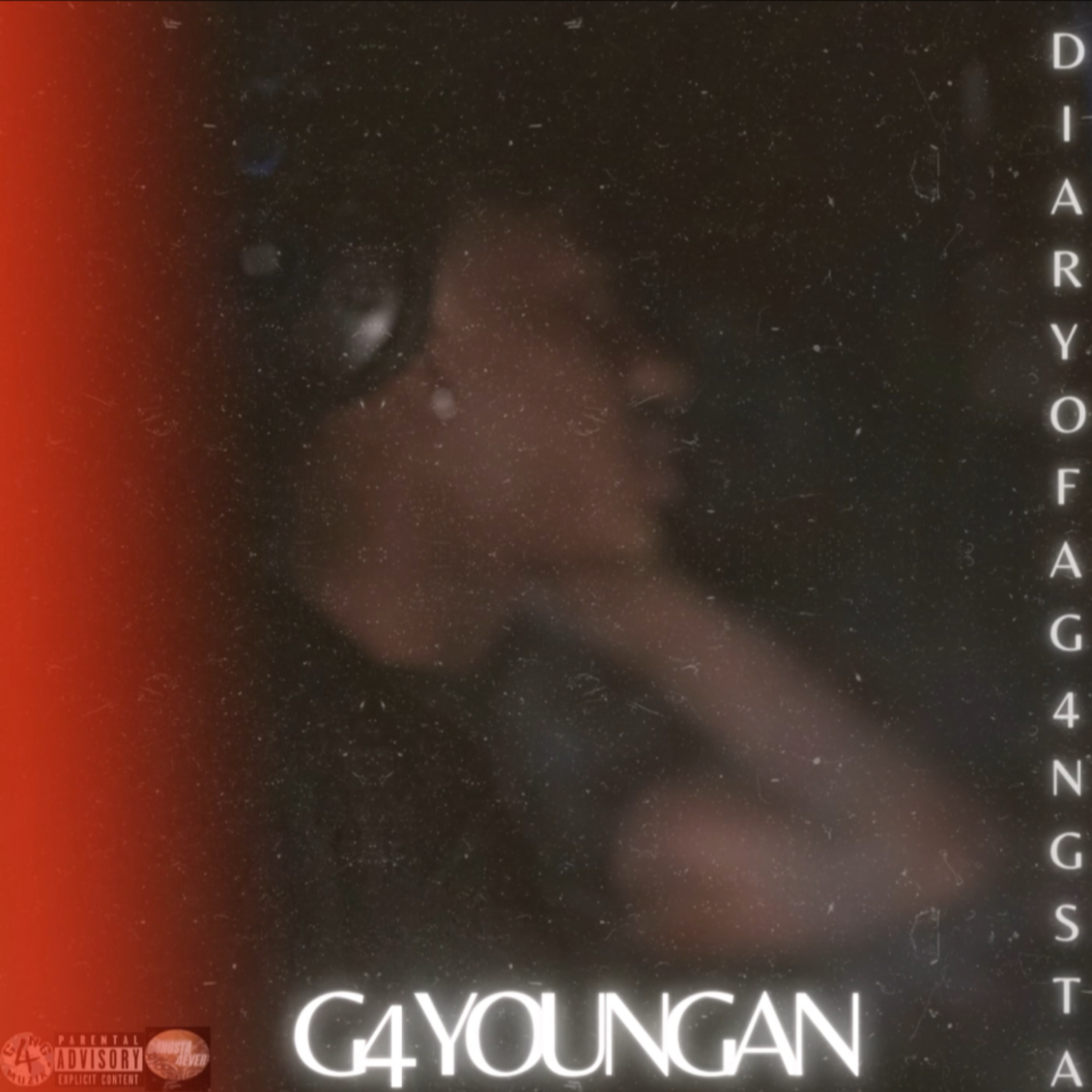 Diary Of A G4ngsta artwork