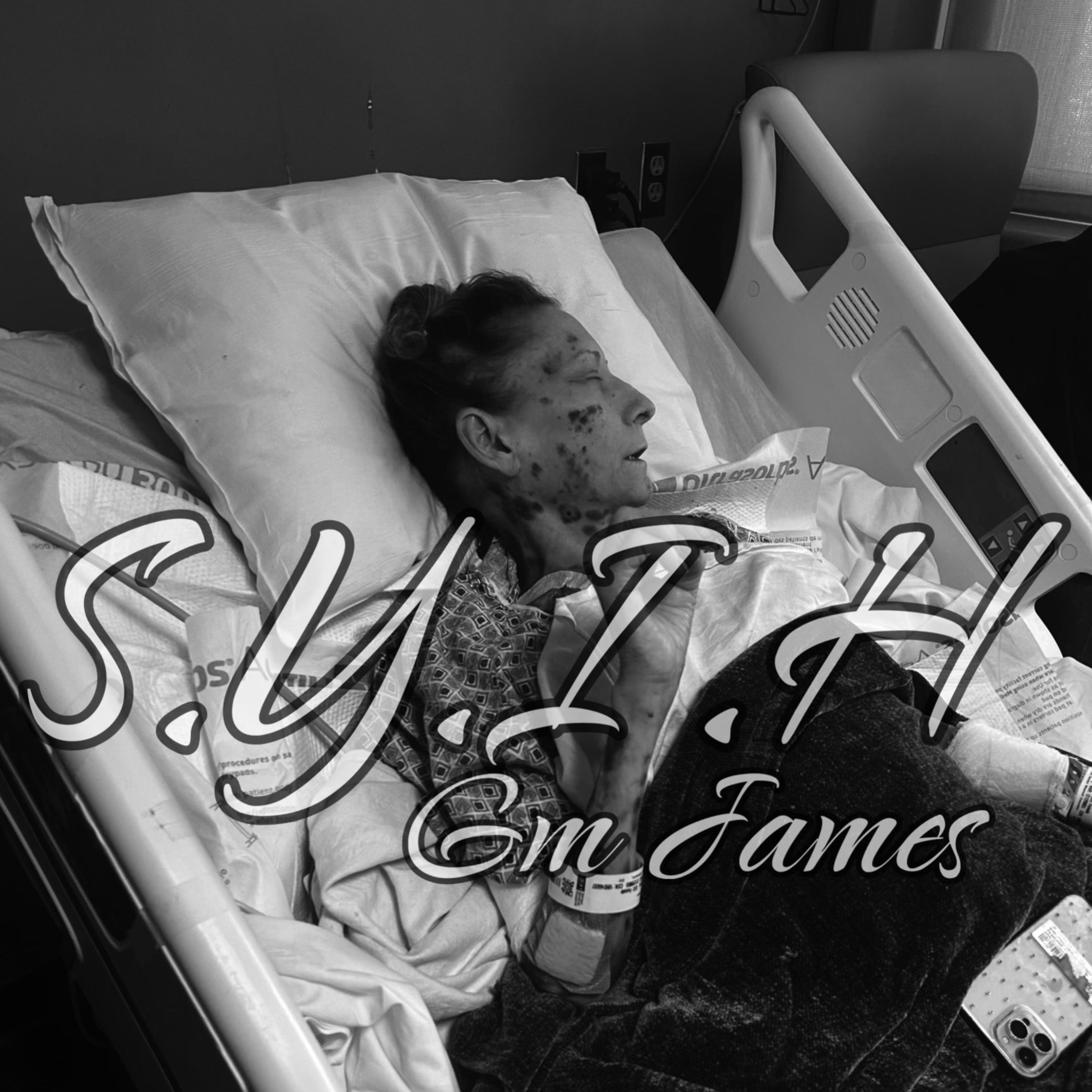 S.Y.I.H artwork