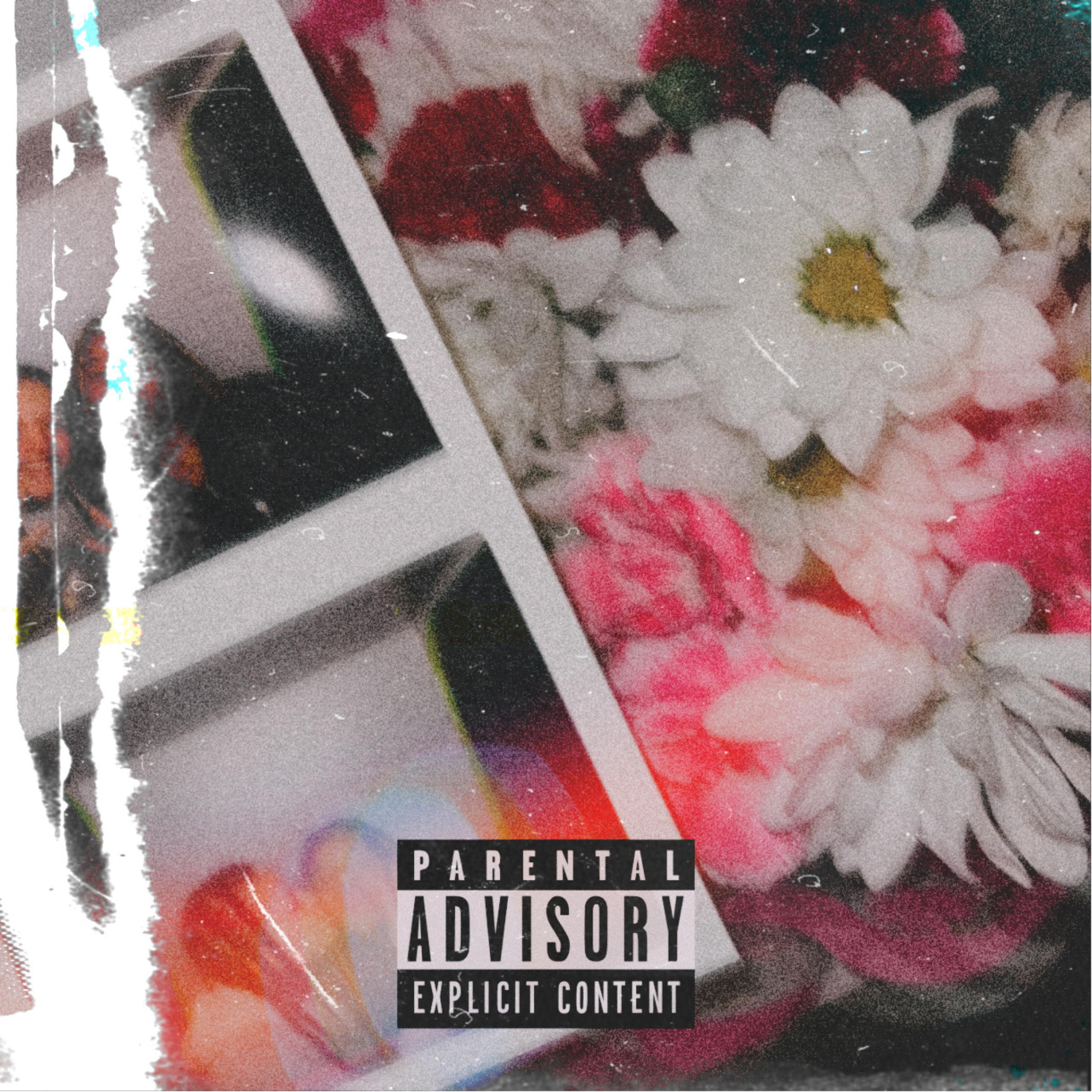 LIL SHAWTY artwork