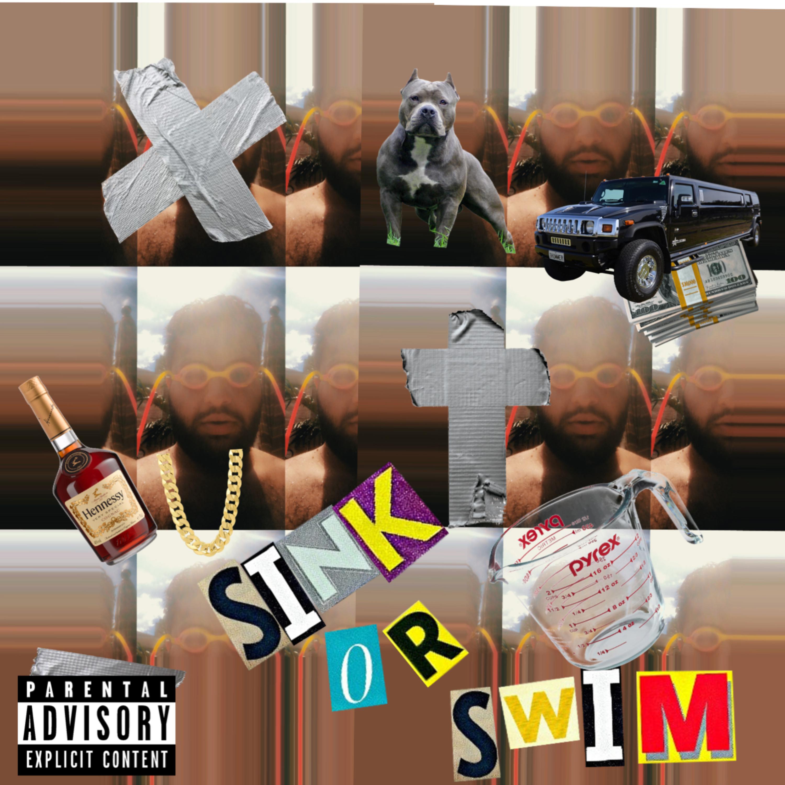 Sink Or Swim artwork