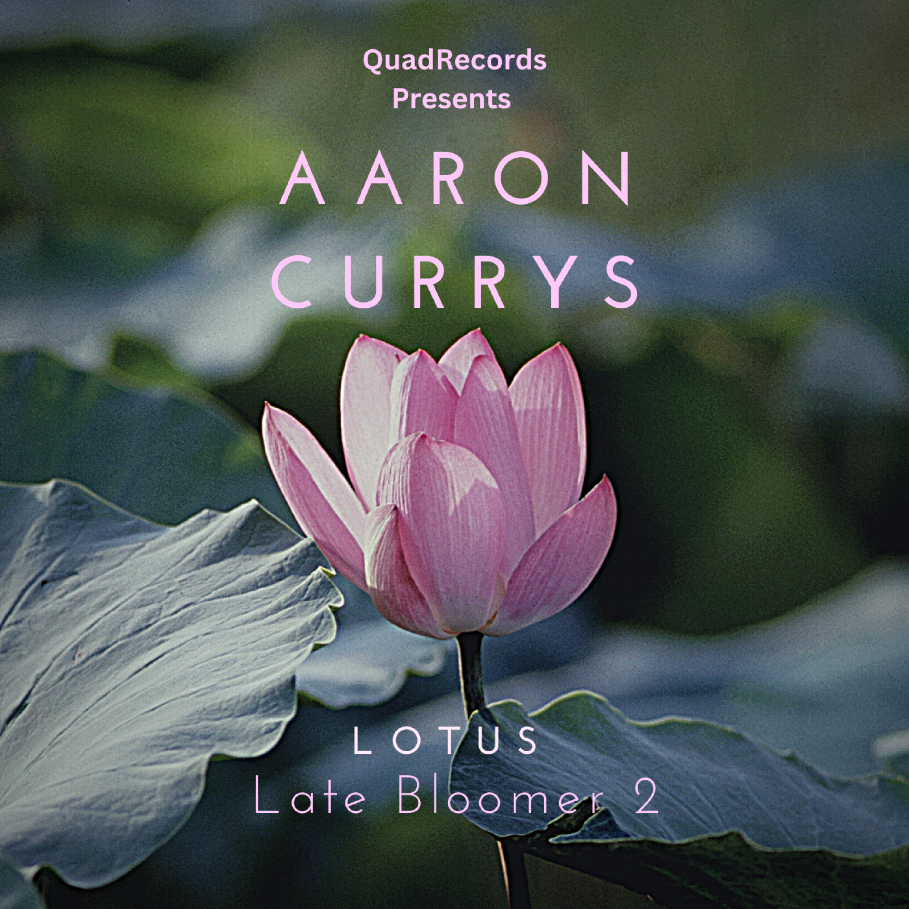 Aaron Curry's Lotus: The Late Bloomer 2 artwork