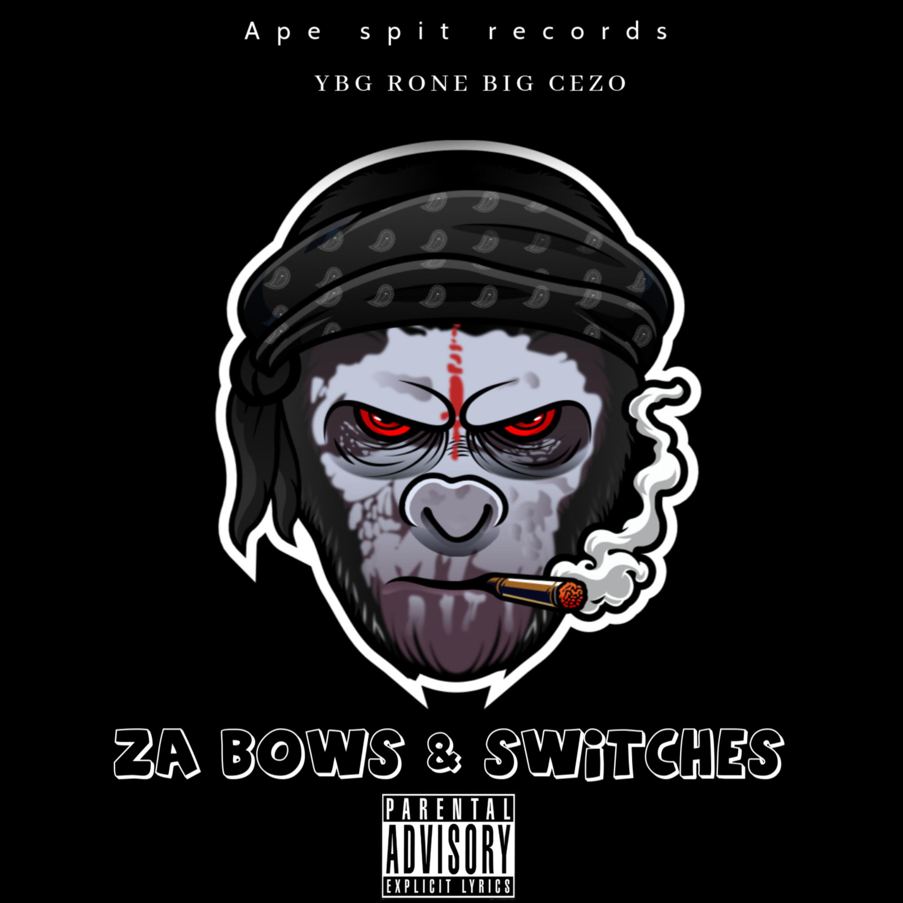 za bows and switches artwork
