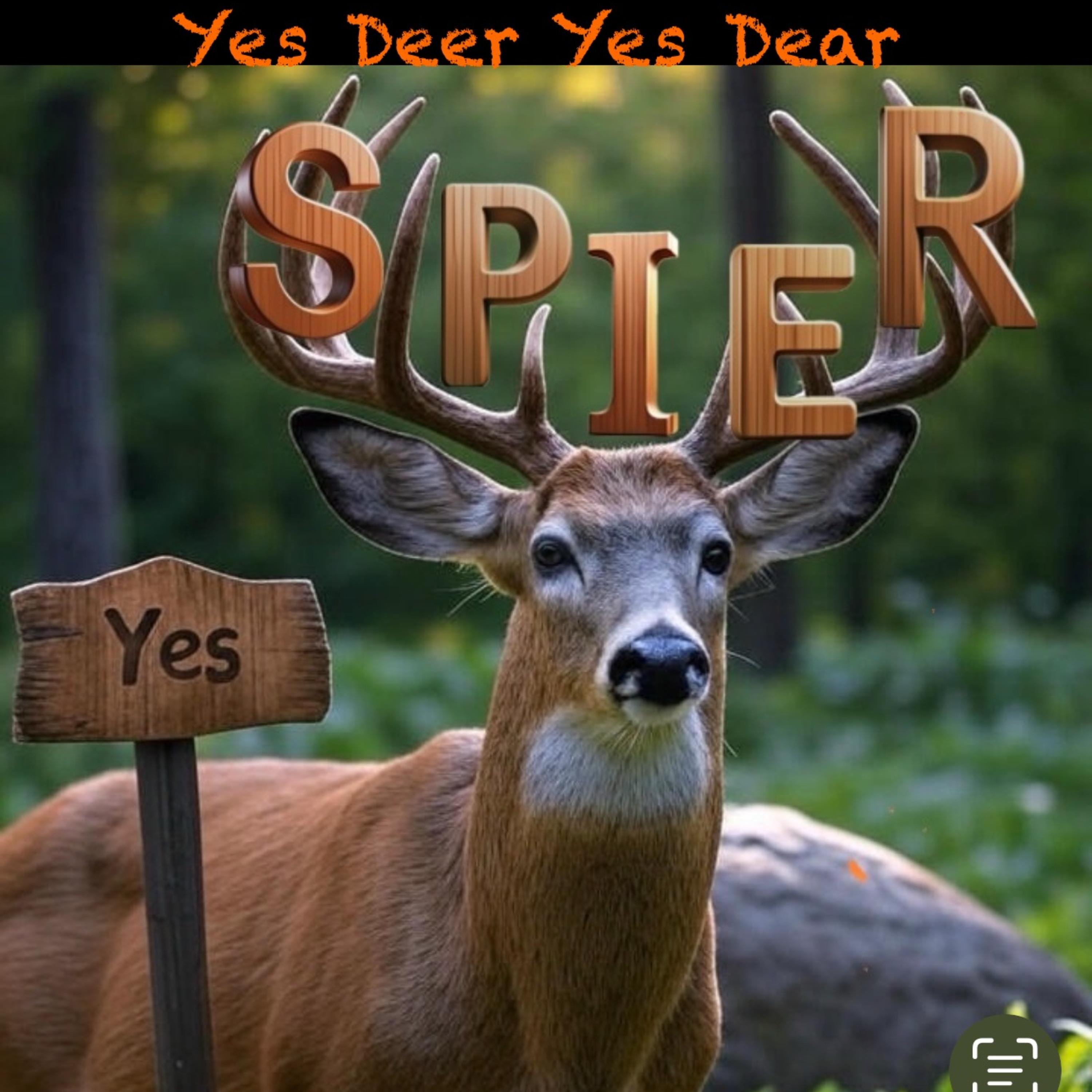 YES DEER YES DEAR artwork