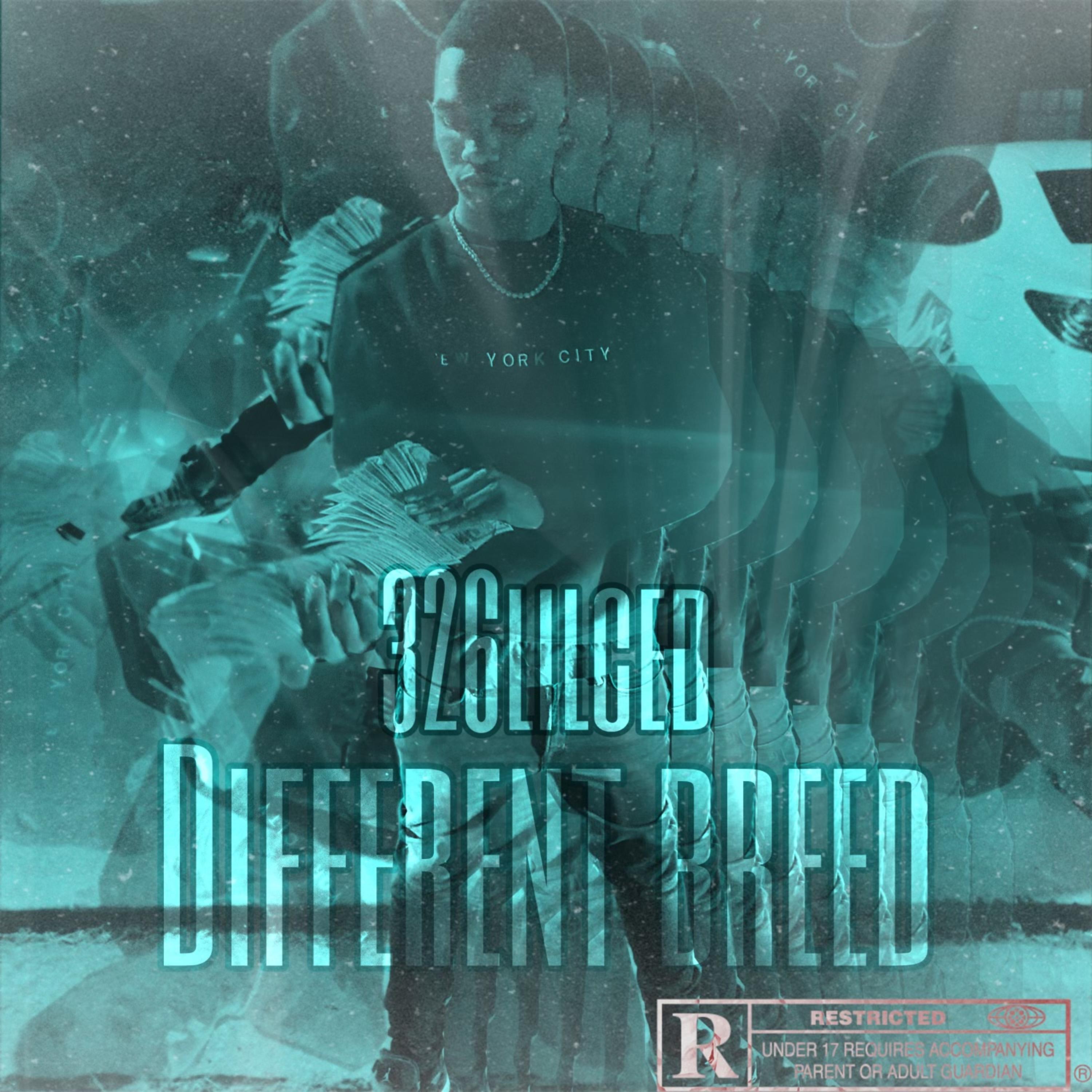 Different Breed artwork