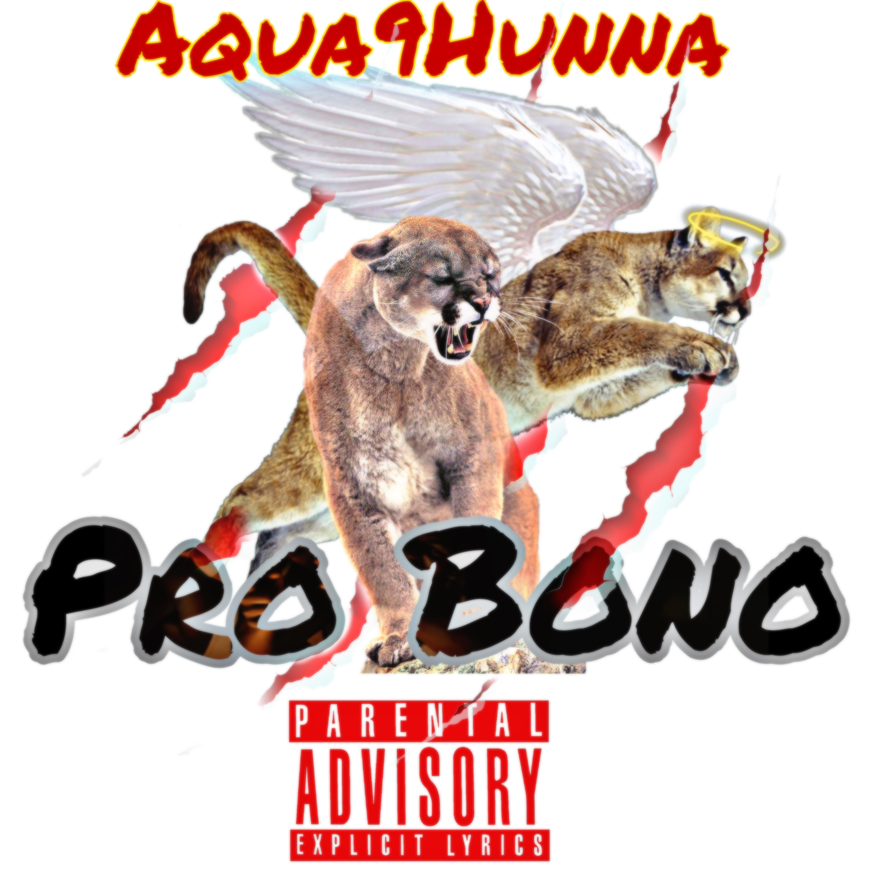 Probono artwork
