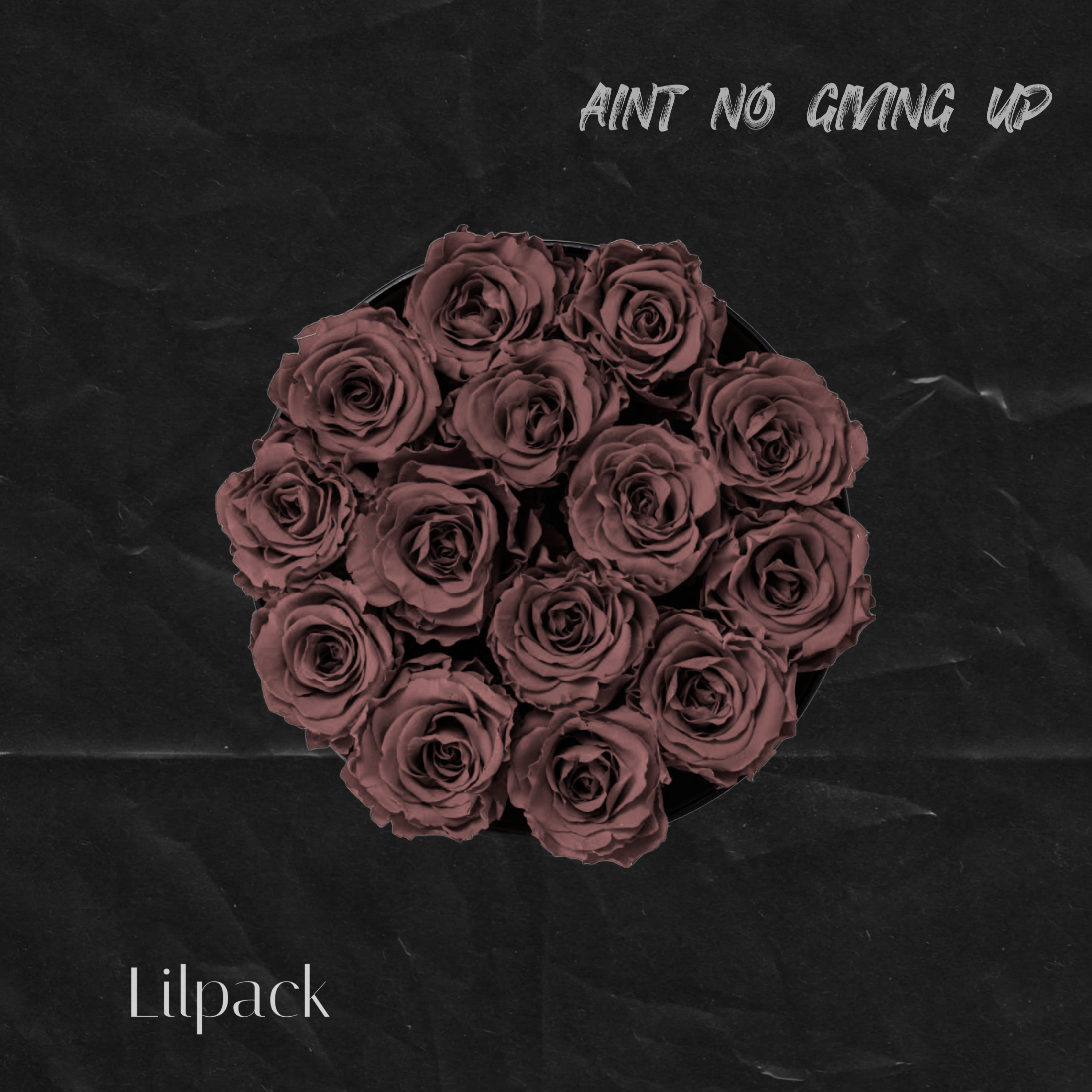 Ain’t No Giving Up by Lilpack cover art