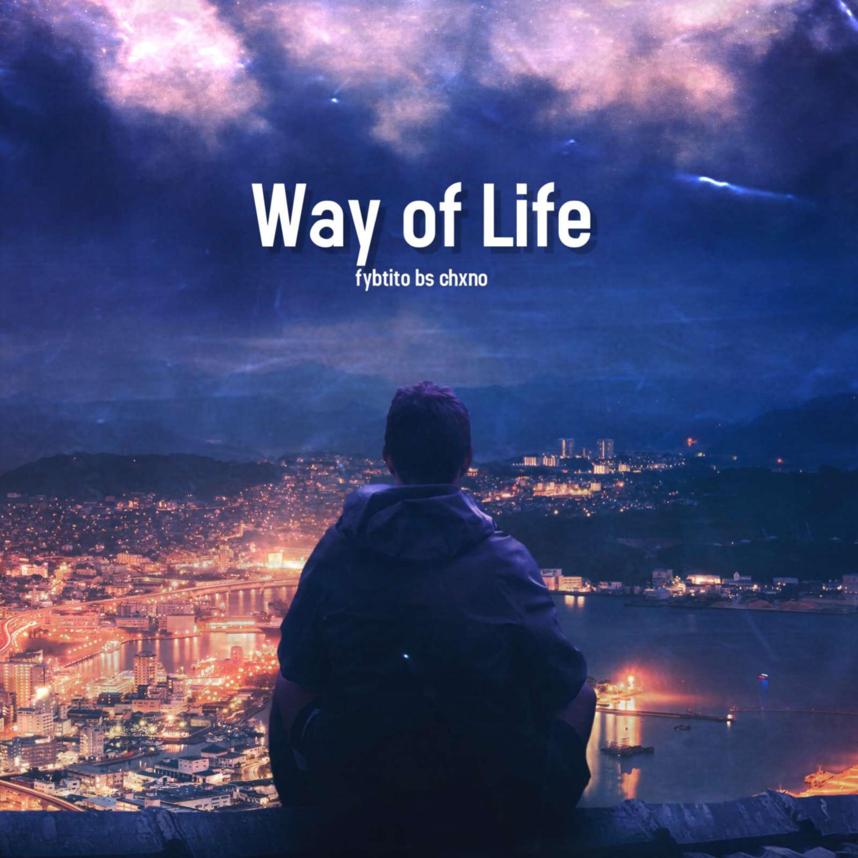 Way Of Life artwork