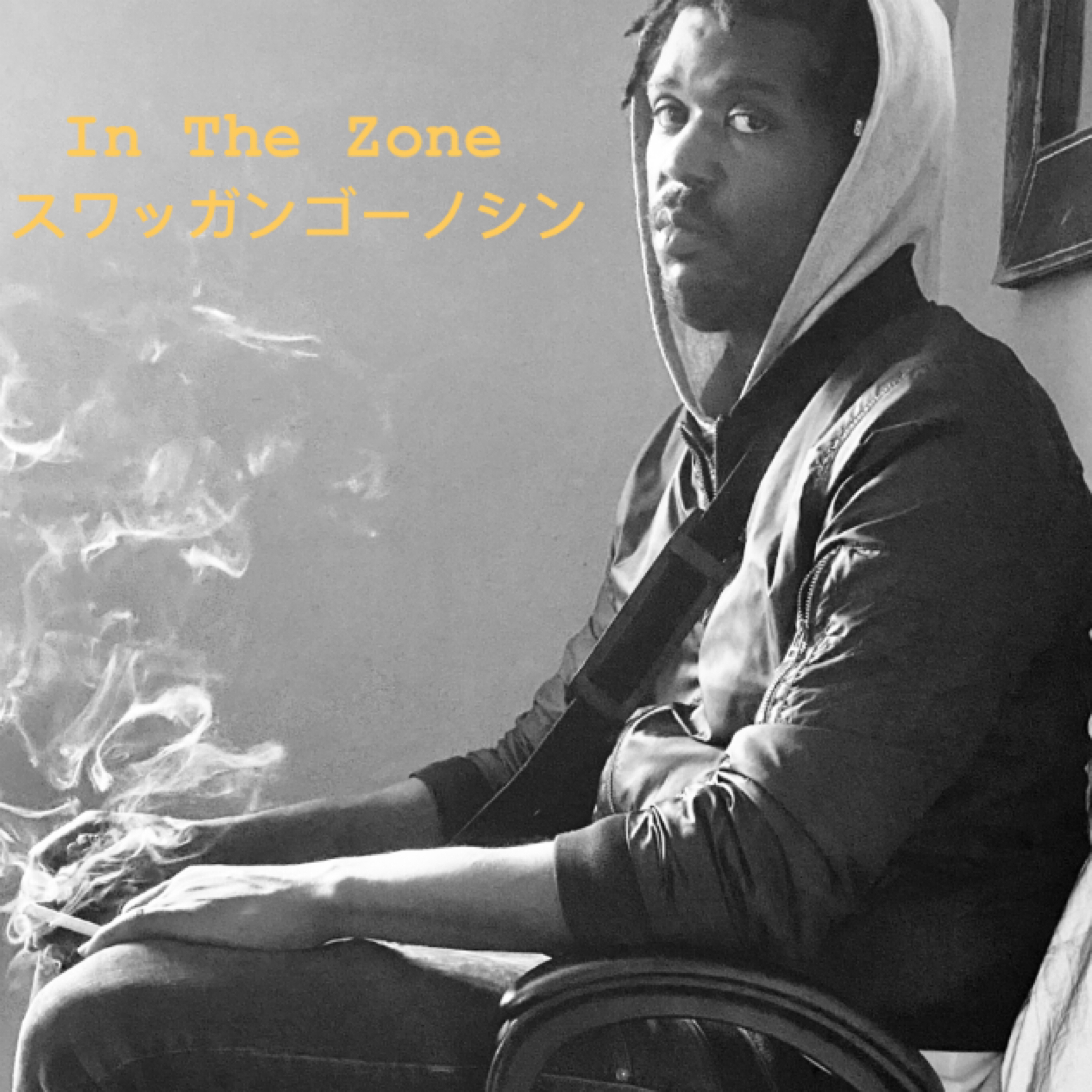 In The Zone artwork