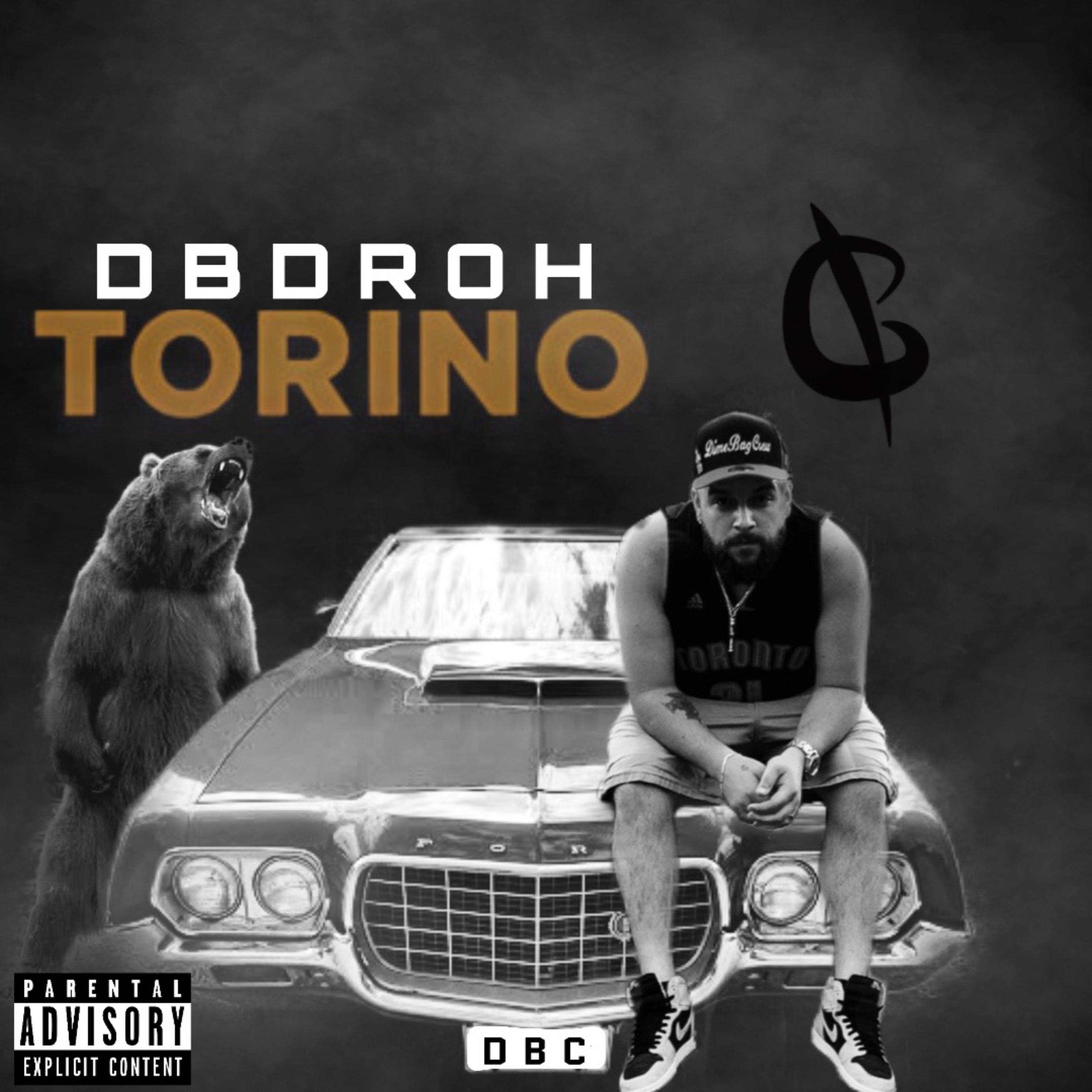 Torino artwork