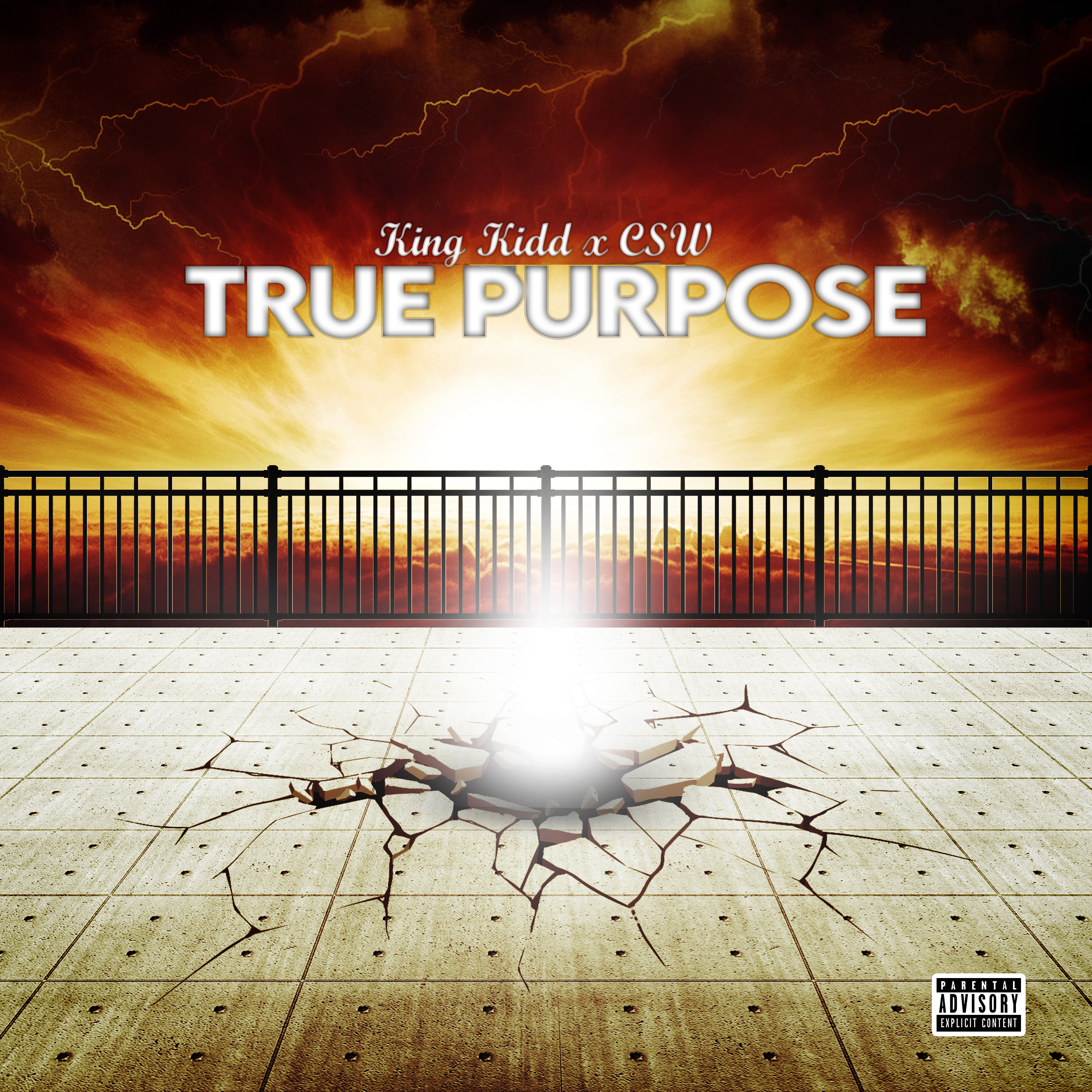 True Purpose by Sir Orangee cover art