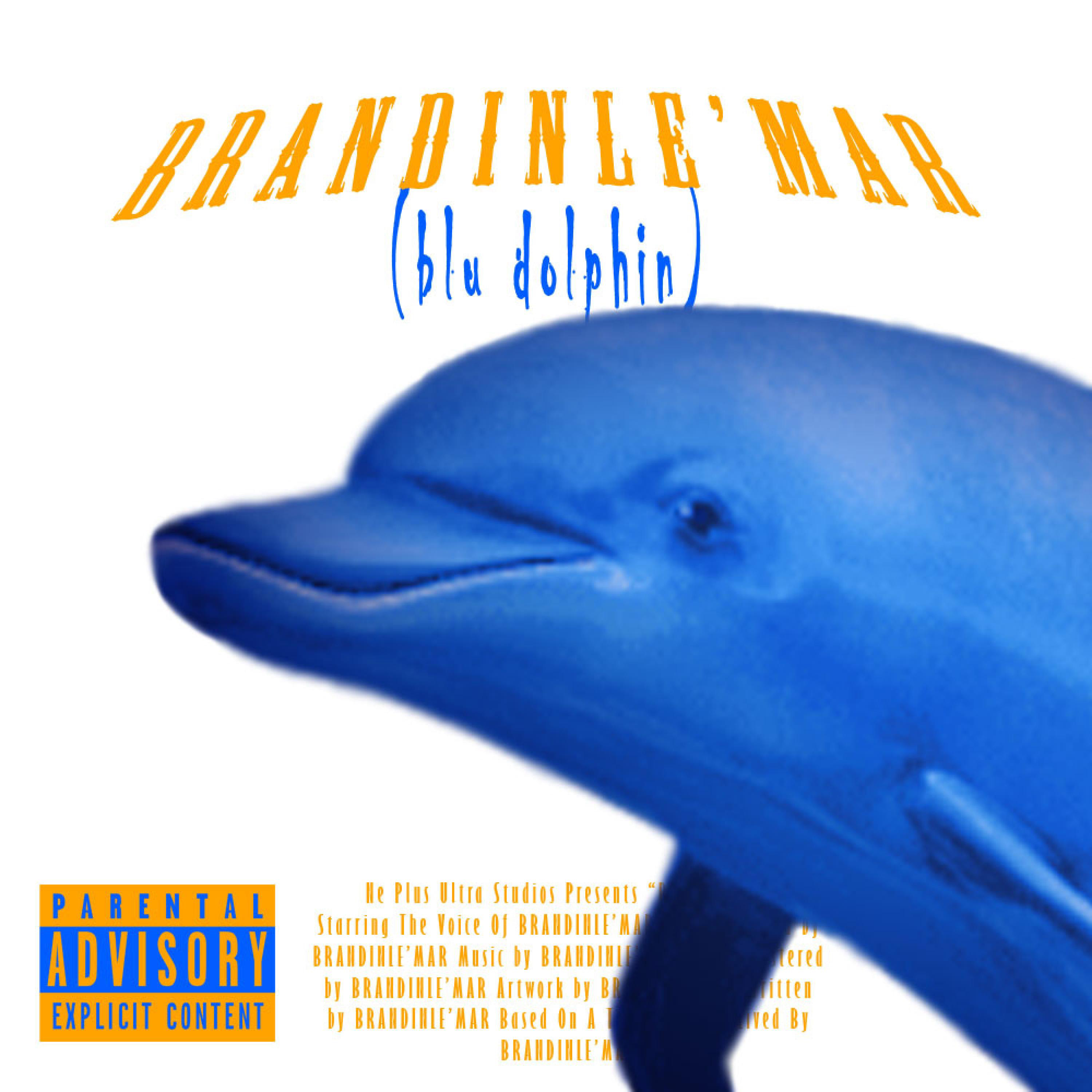 Blu Dolphin artwork