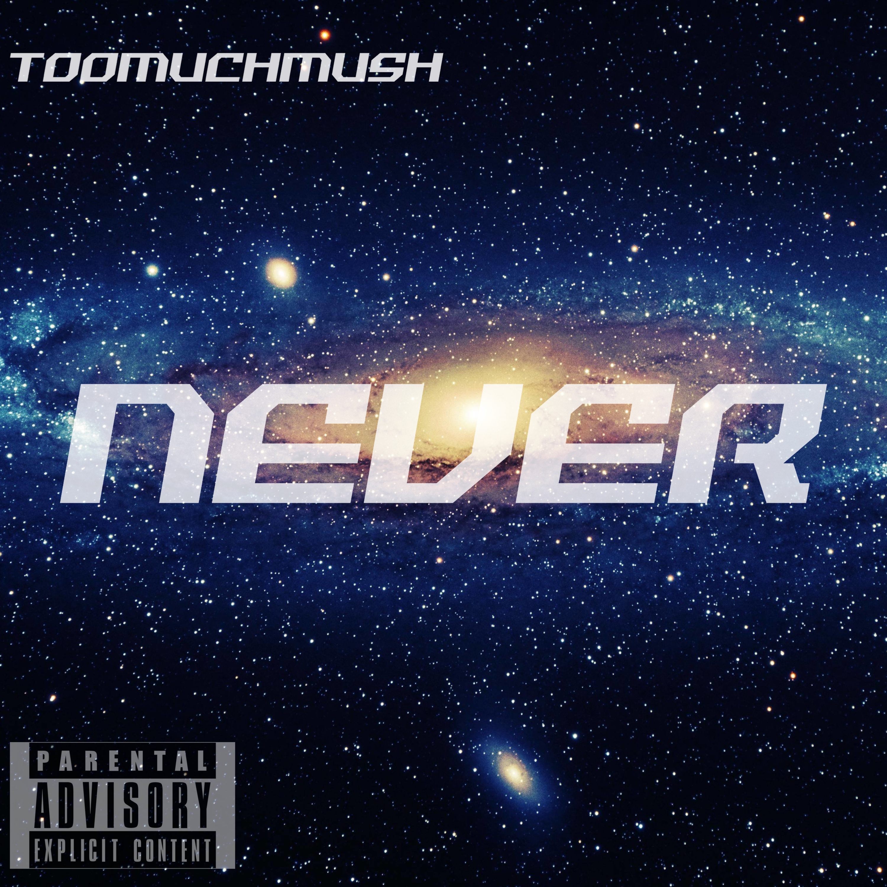 Never by TOOMUCHMUSH cover art
