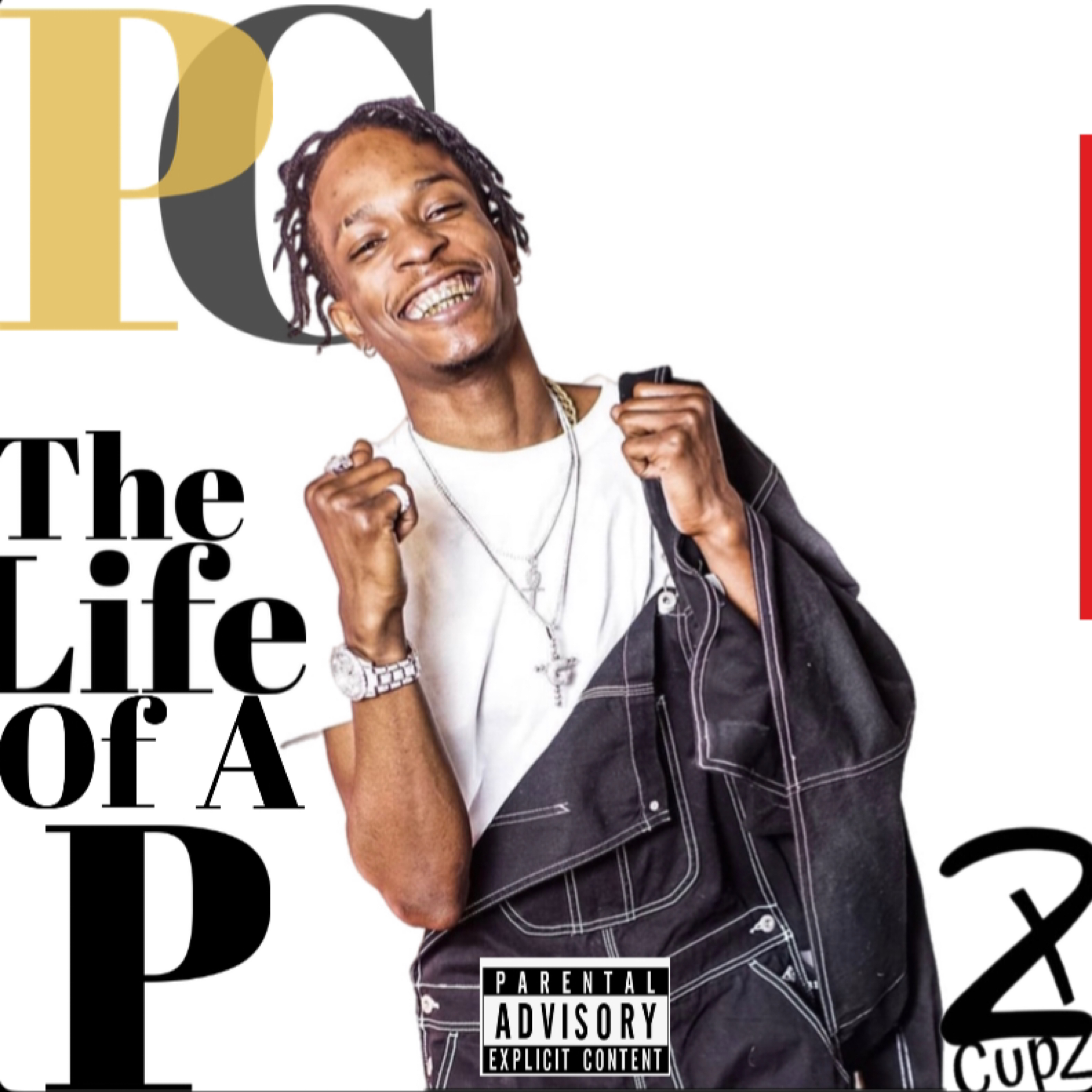 The Life Of A P artwork