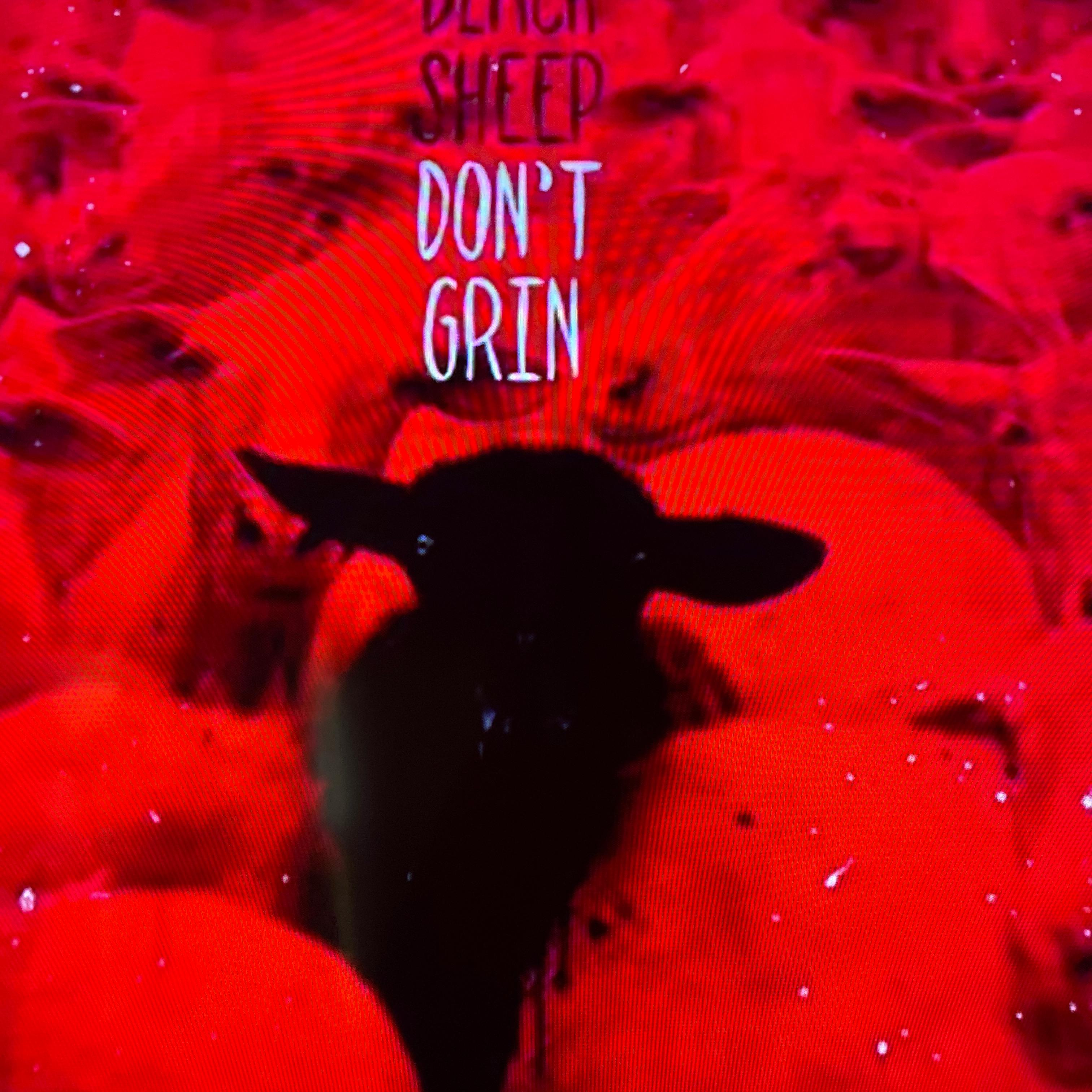 Black Sheep artwork