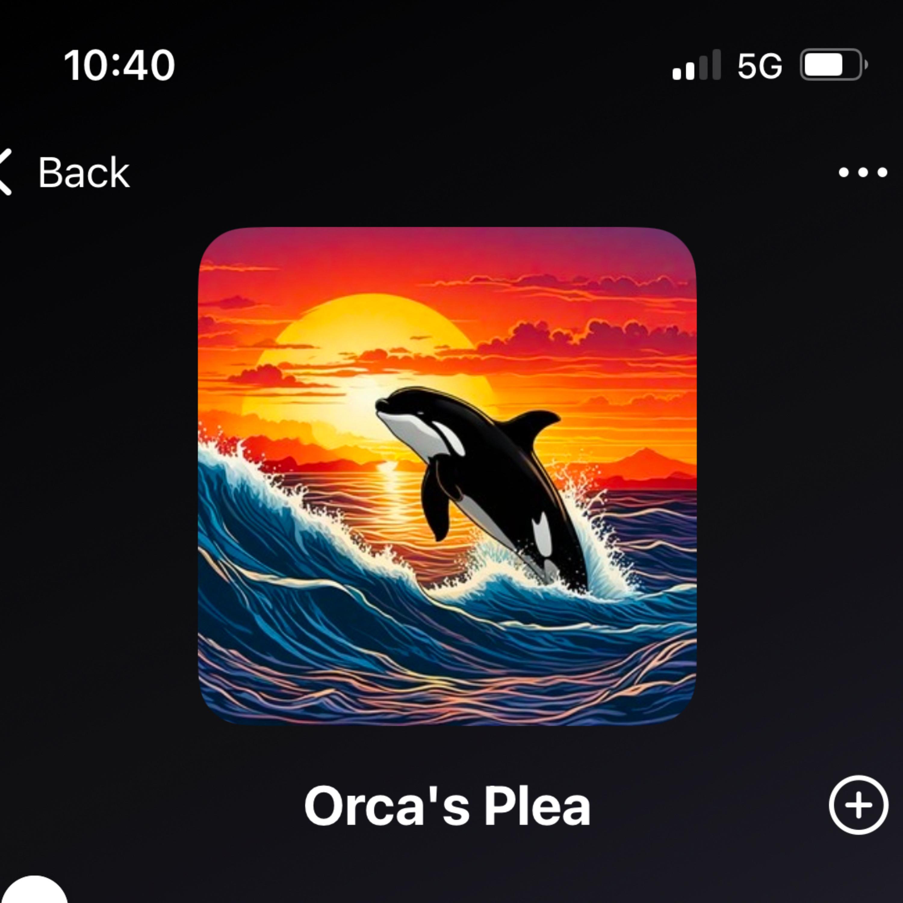 Orca’s Plea artwork