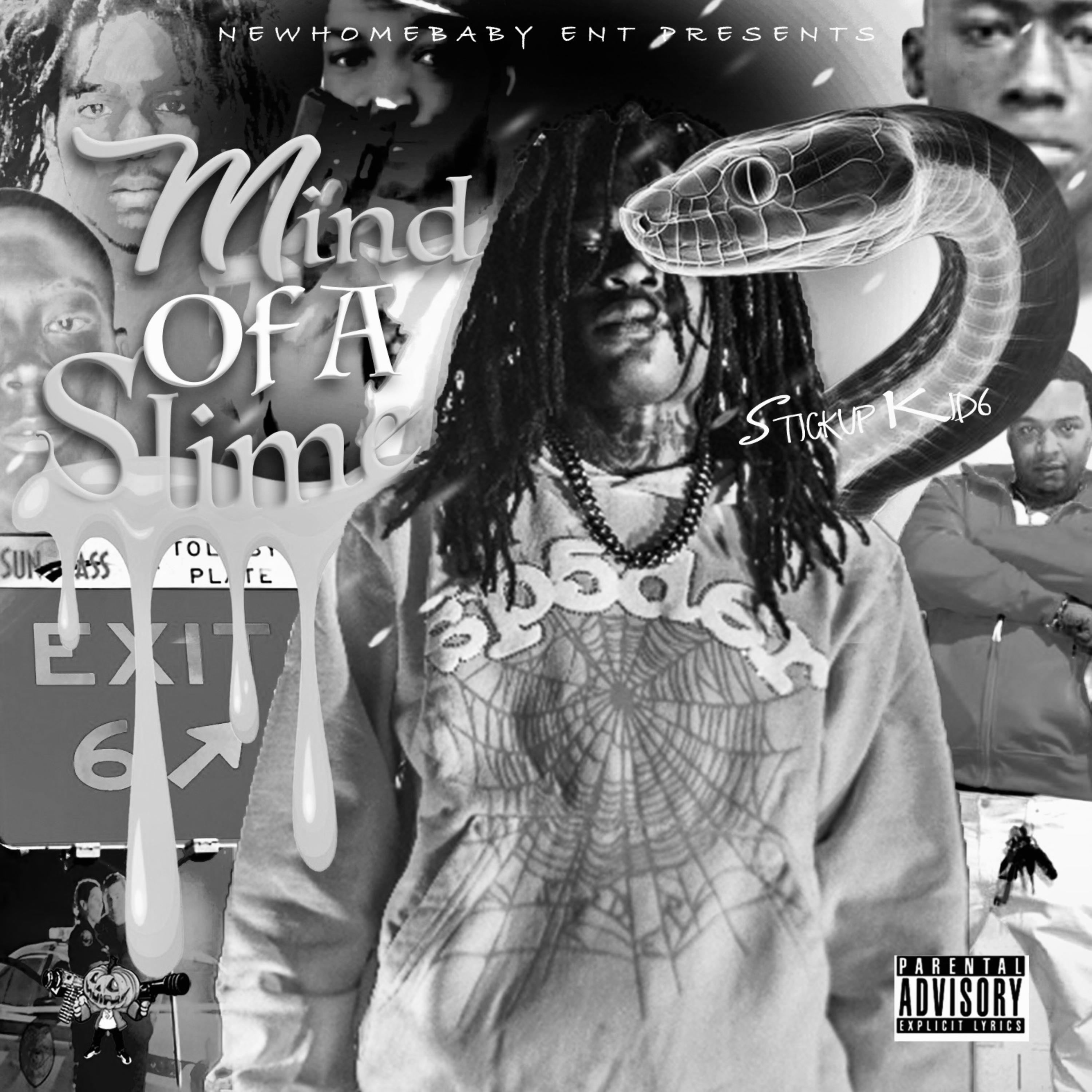 Mind Of A Slime (FAST) artwork