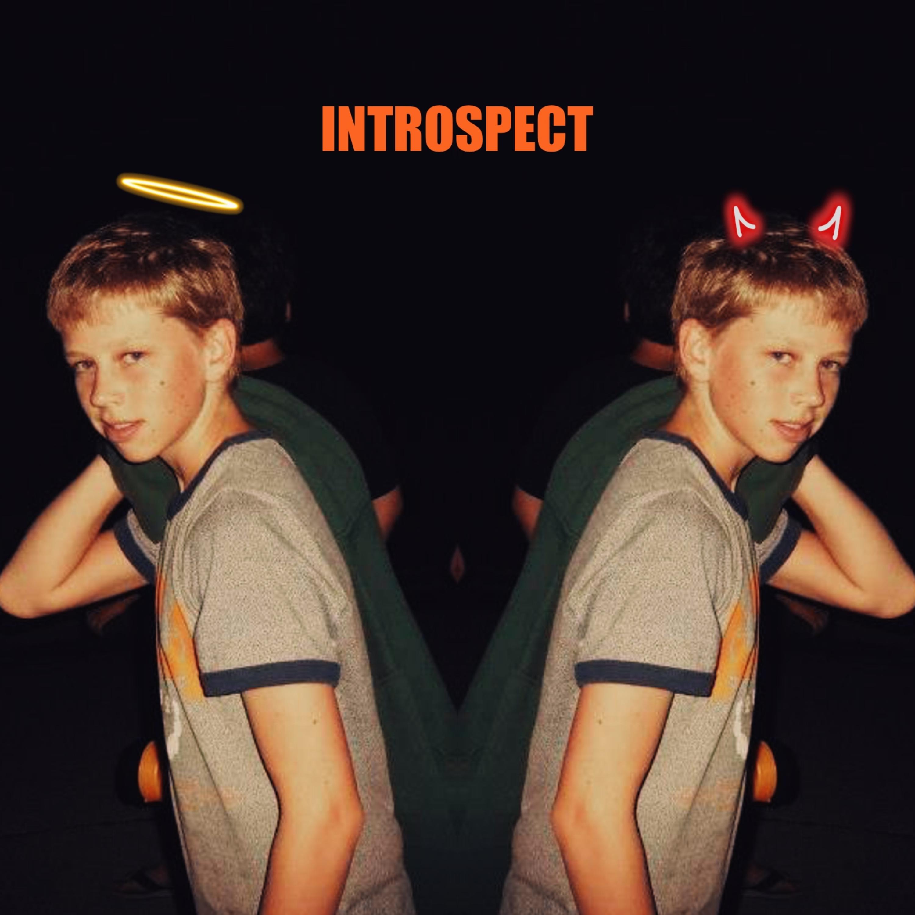 Introspect artwork