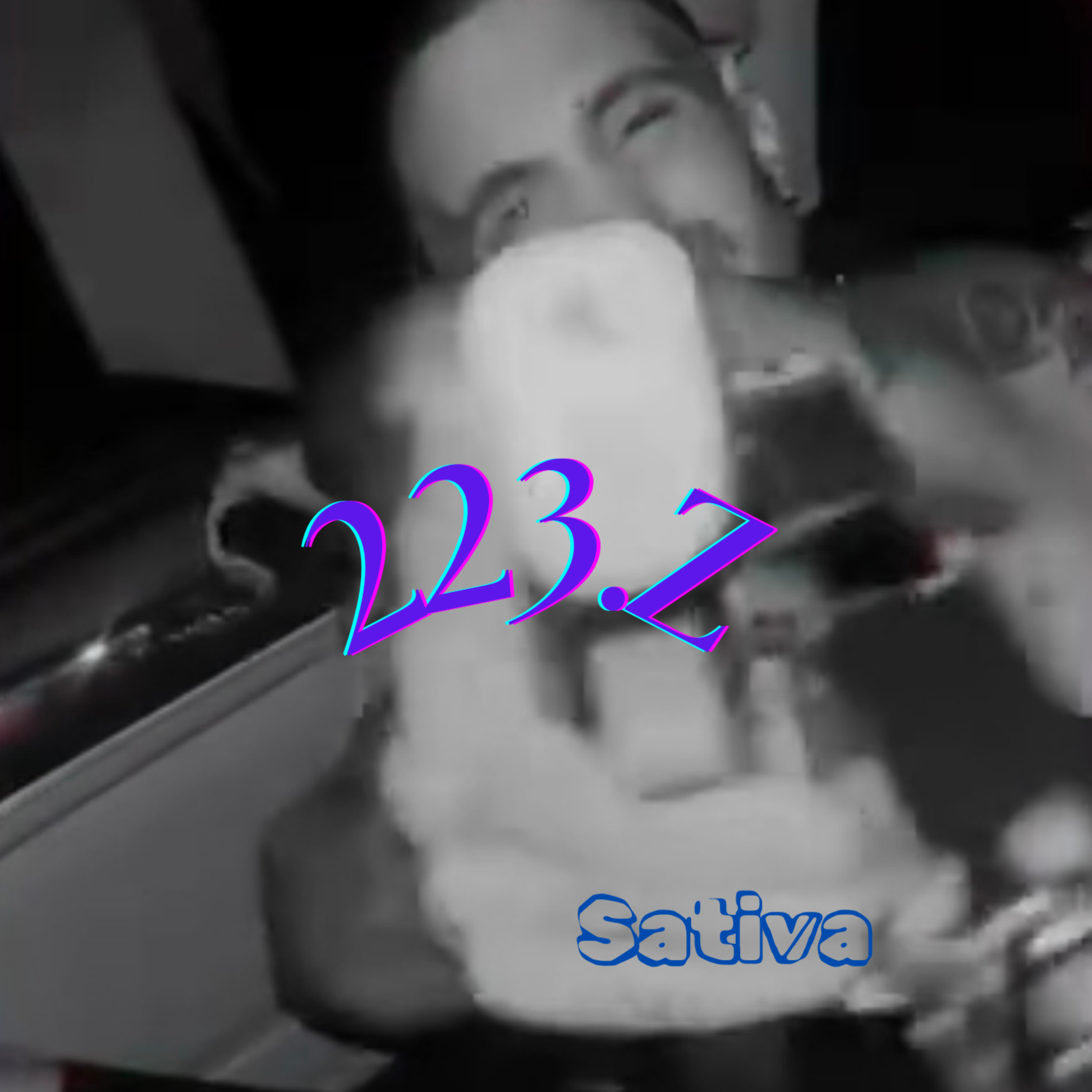 223.Z artwork
