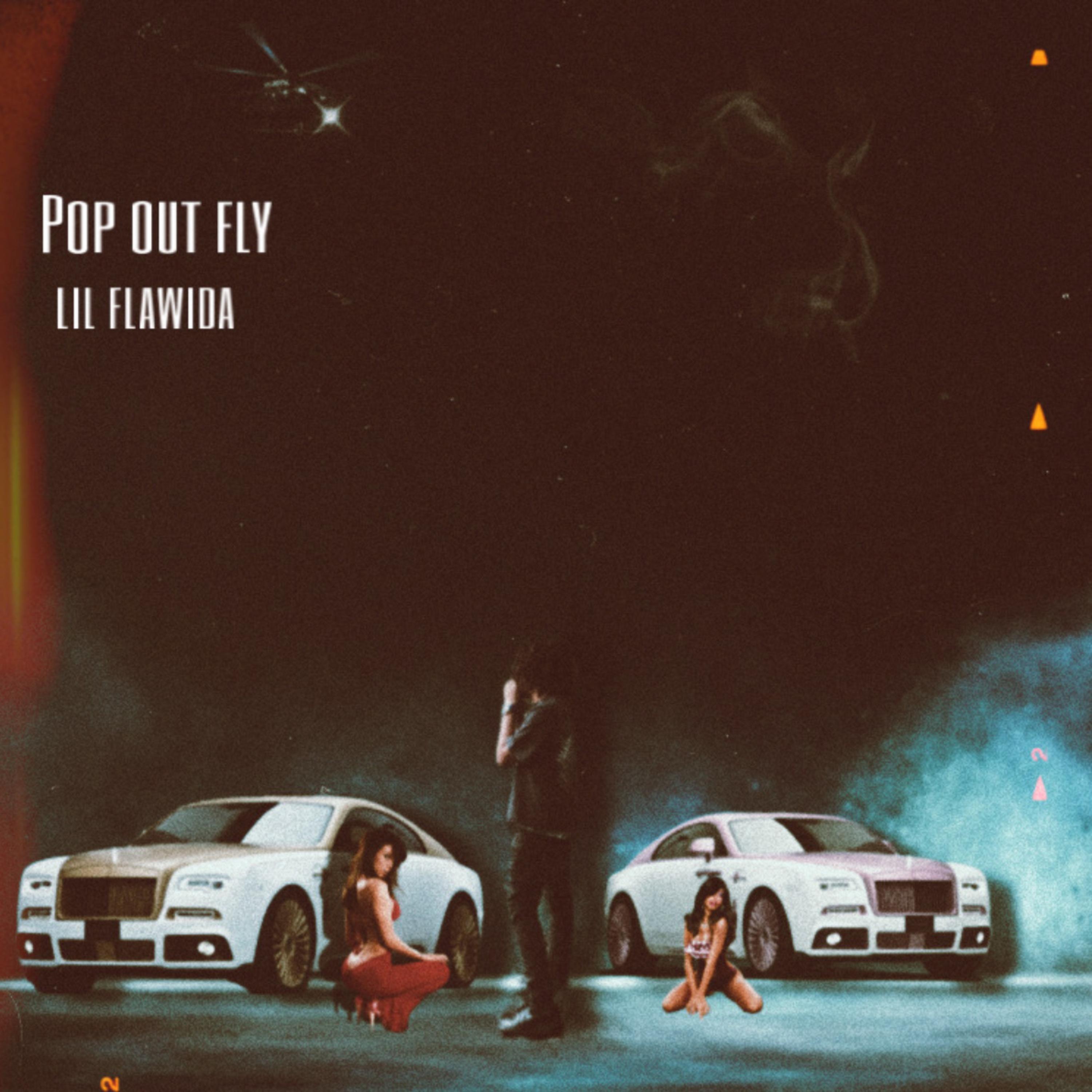 Pop Out Fly artwork