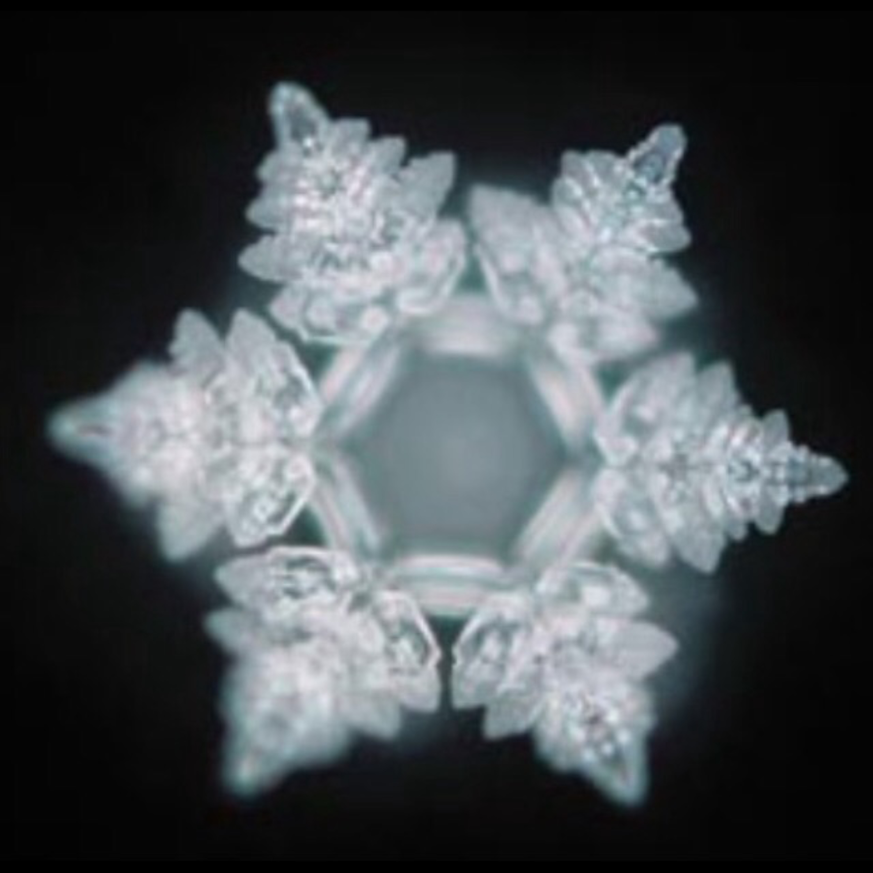 rEvolution of Love artwork