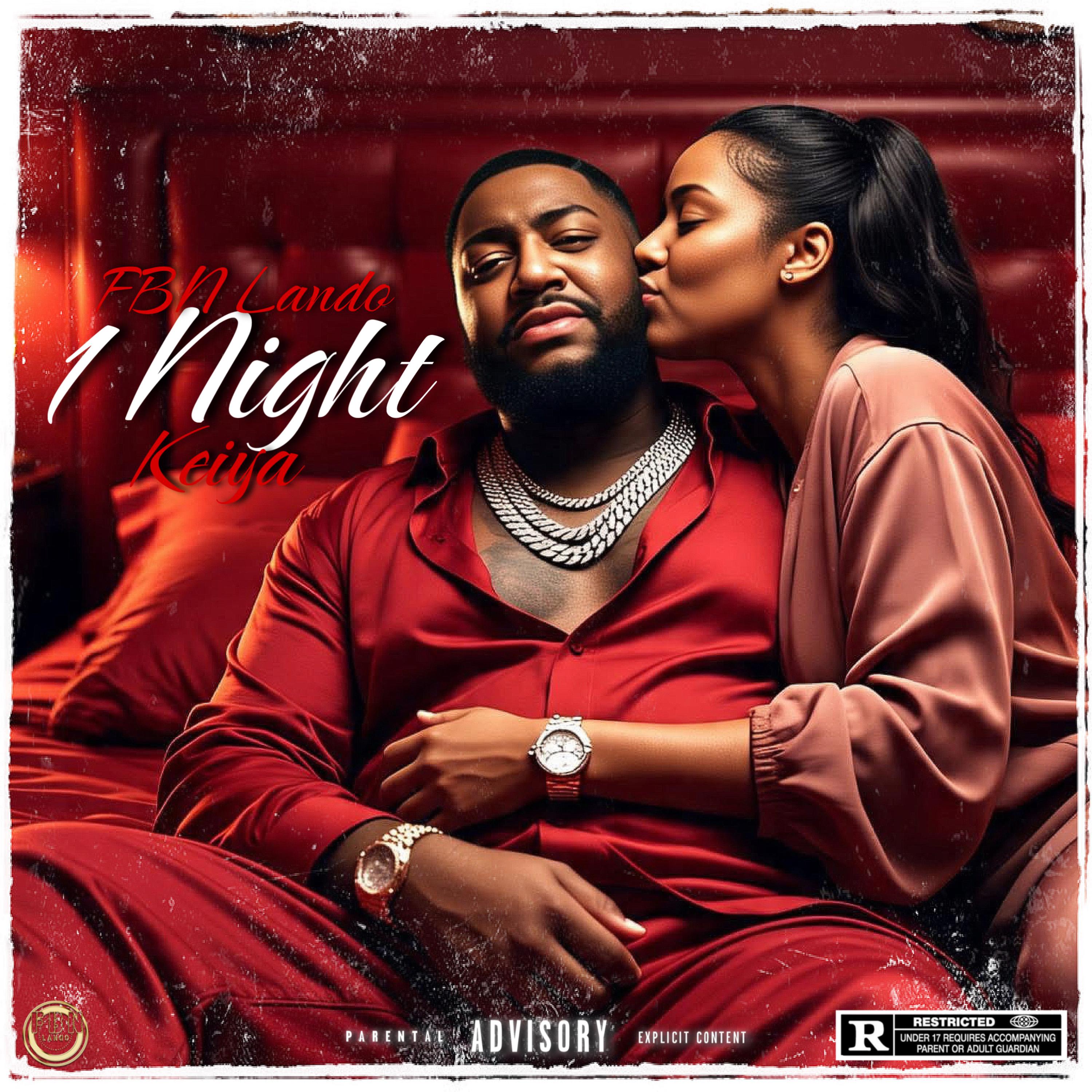 1 Night artwork