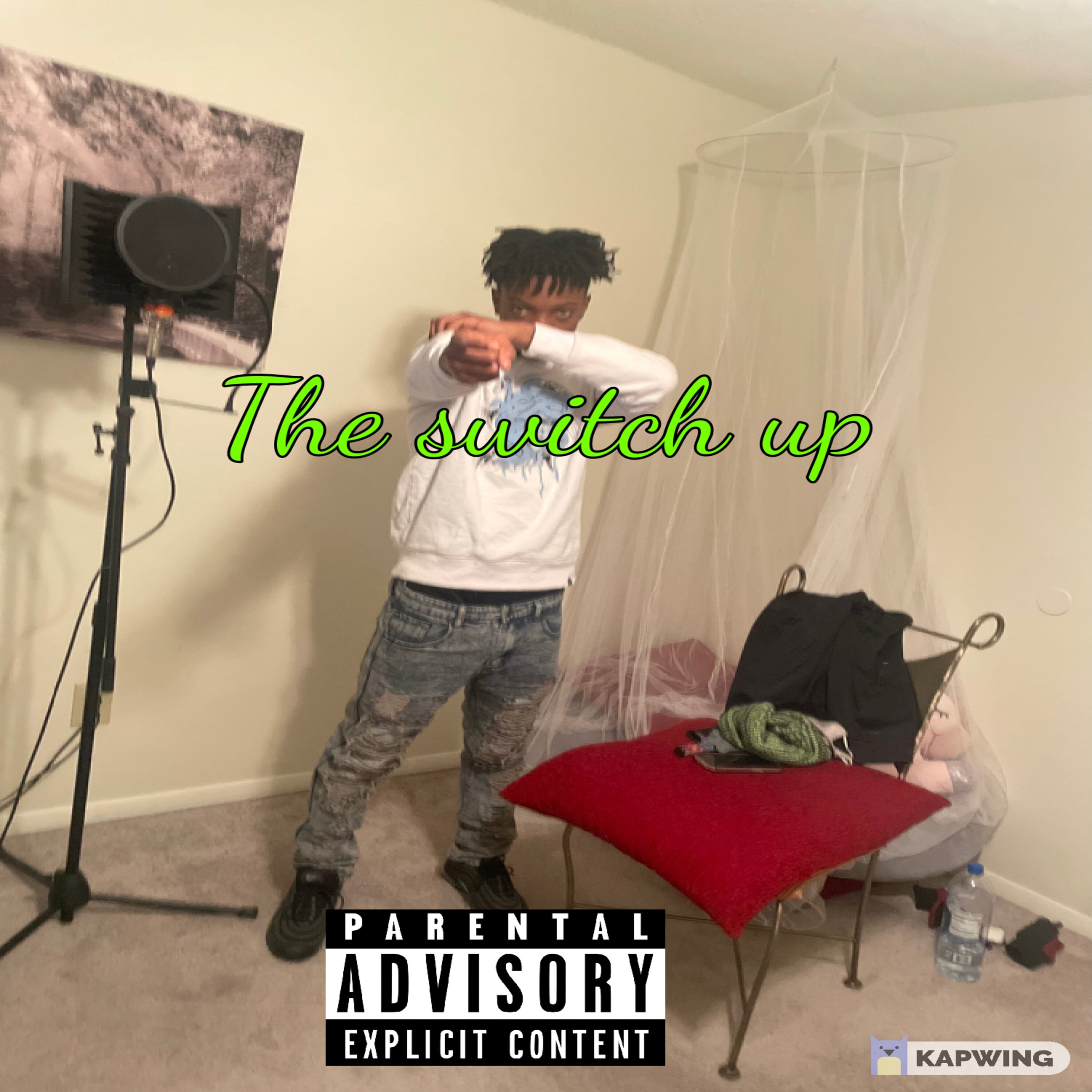 The Switch Up artwork