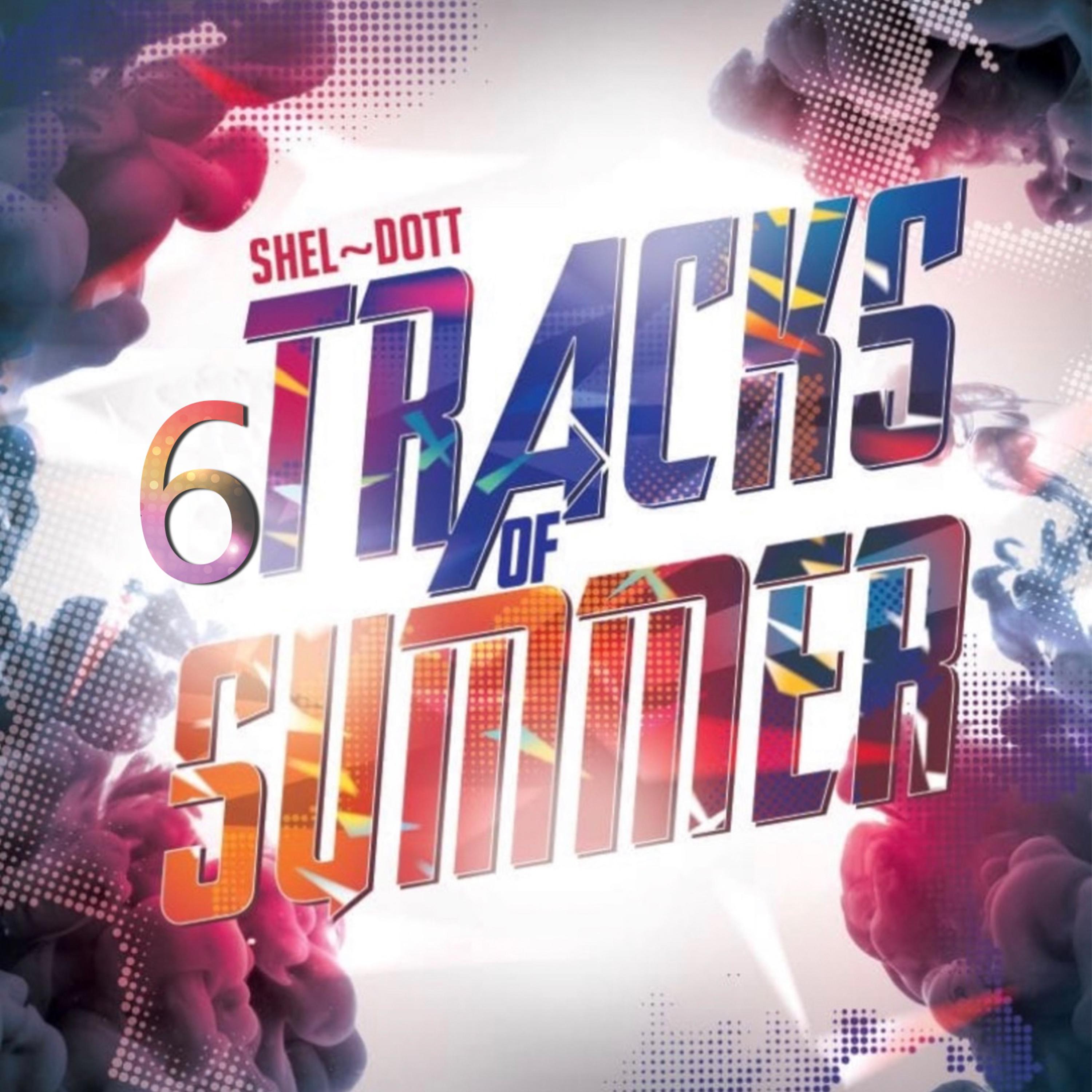 6Tracks Of Summer artwork