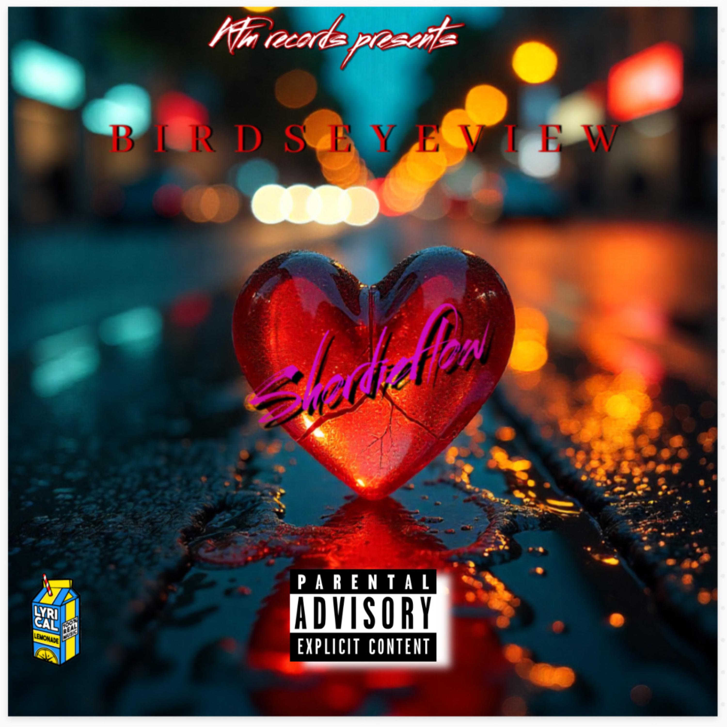 Birds eye view artwork