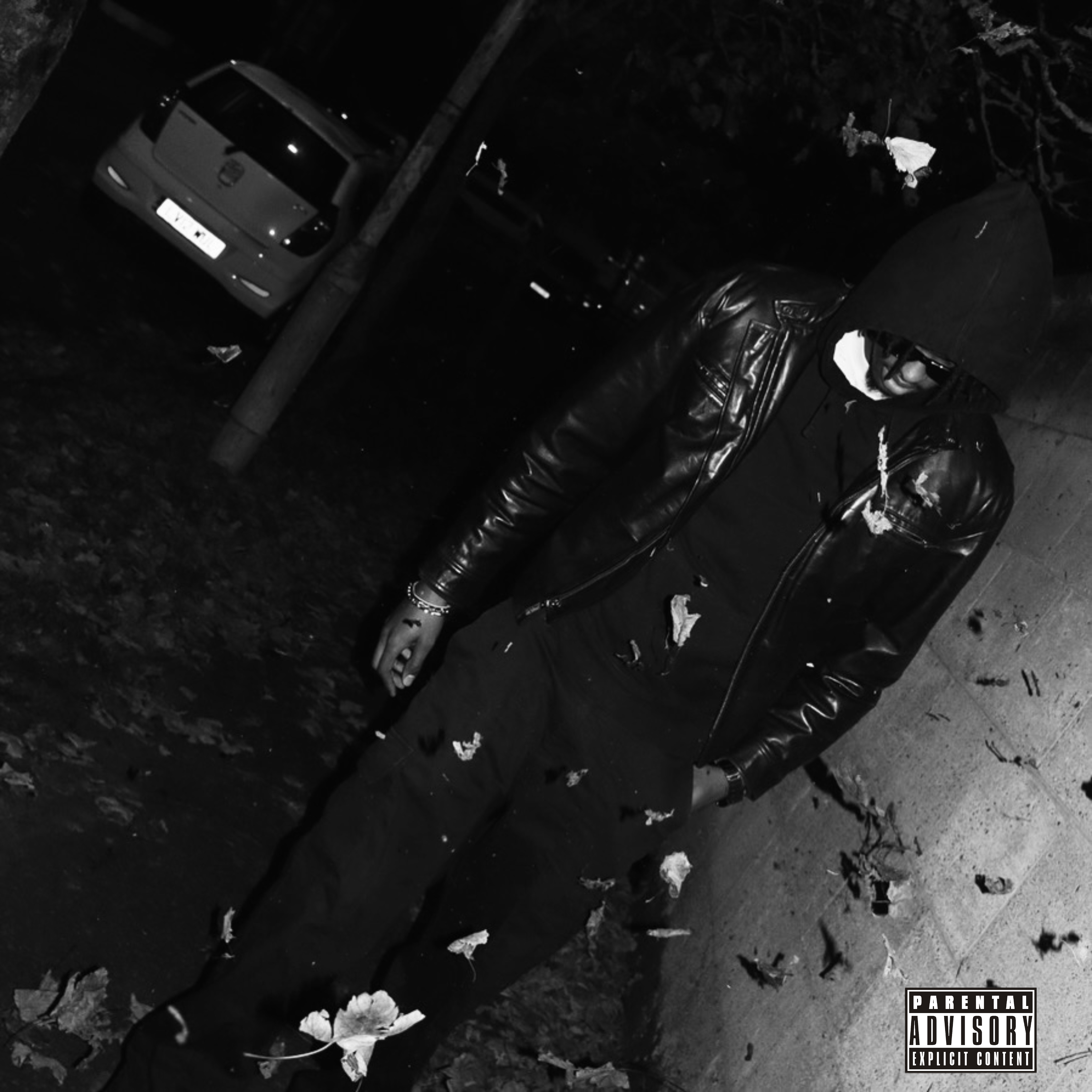 Wszn artwork