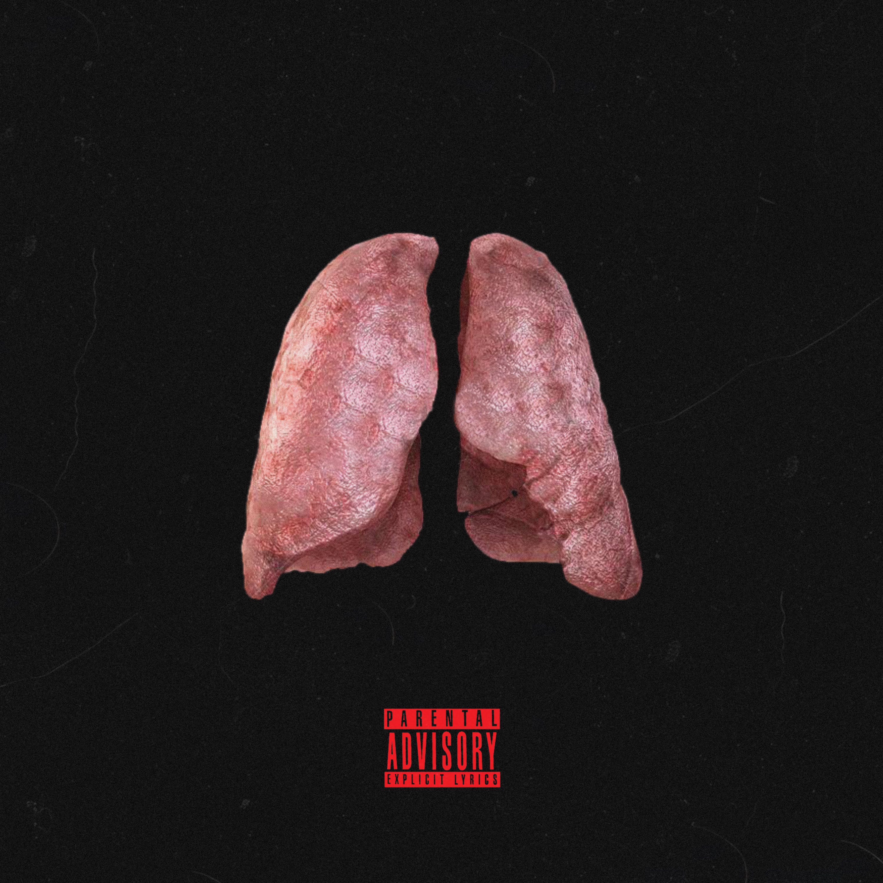 Lungs artwork