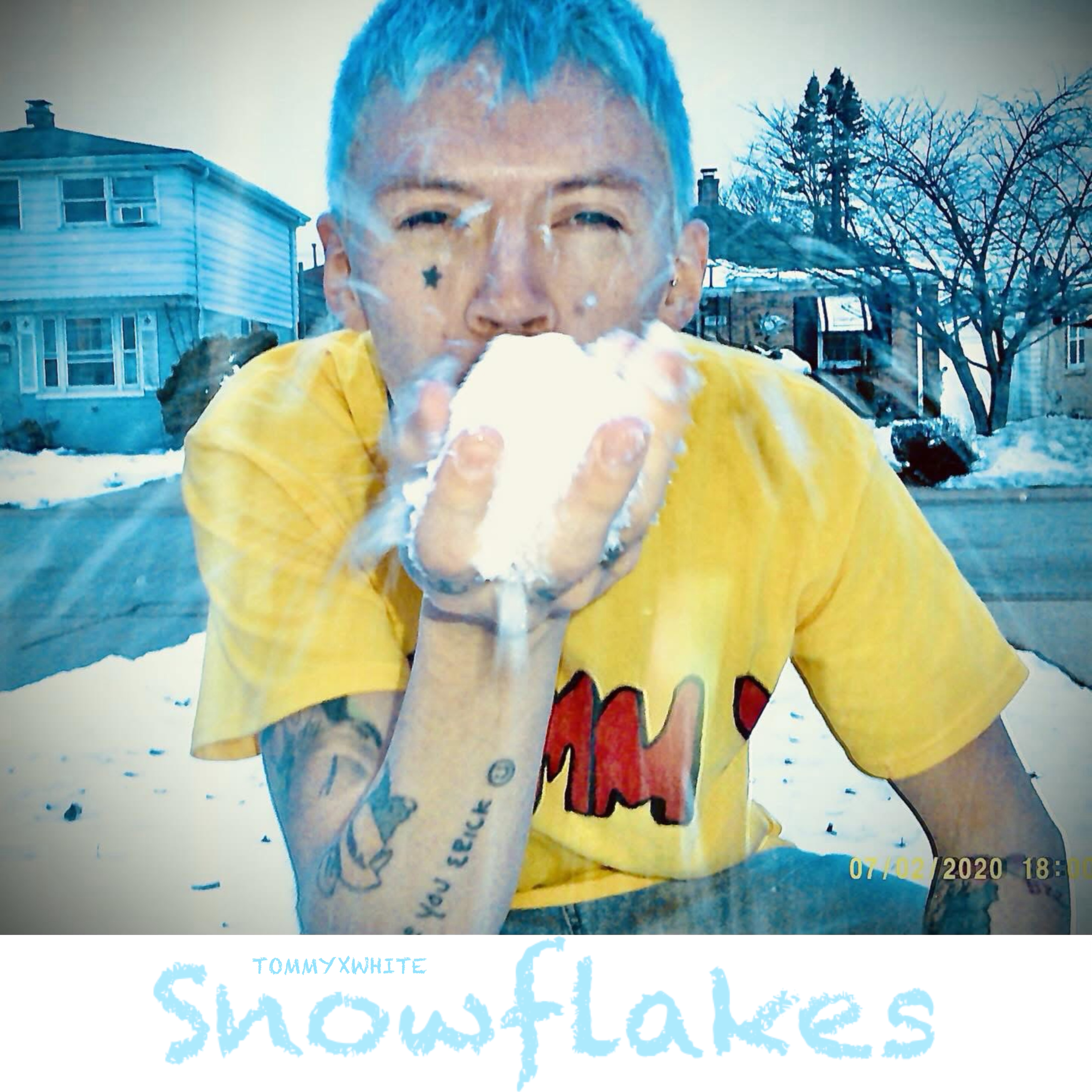 Snowflakes artwork