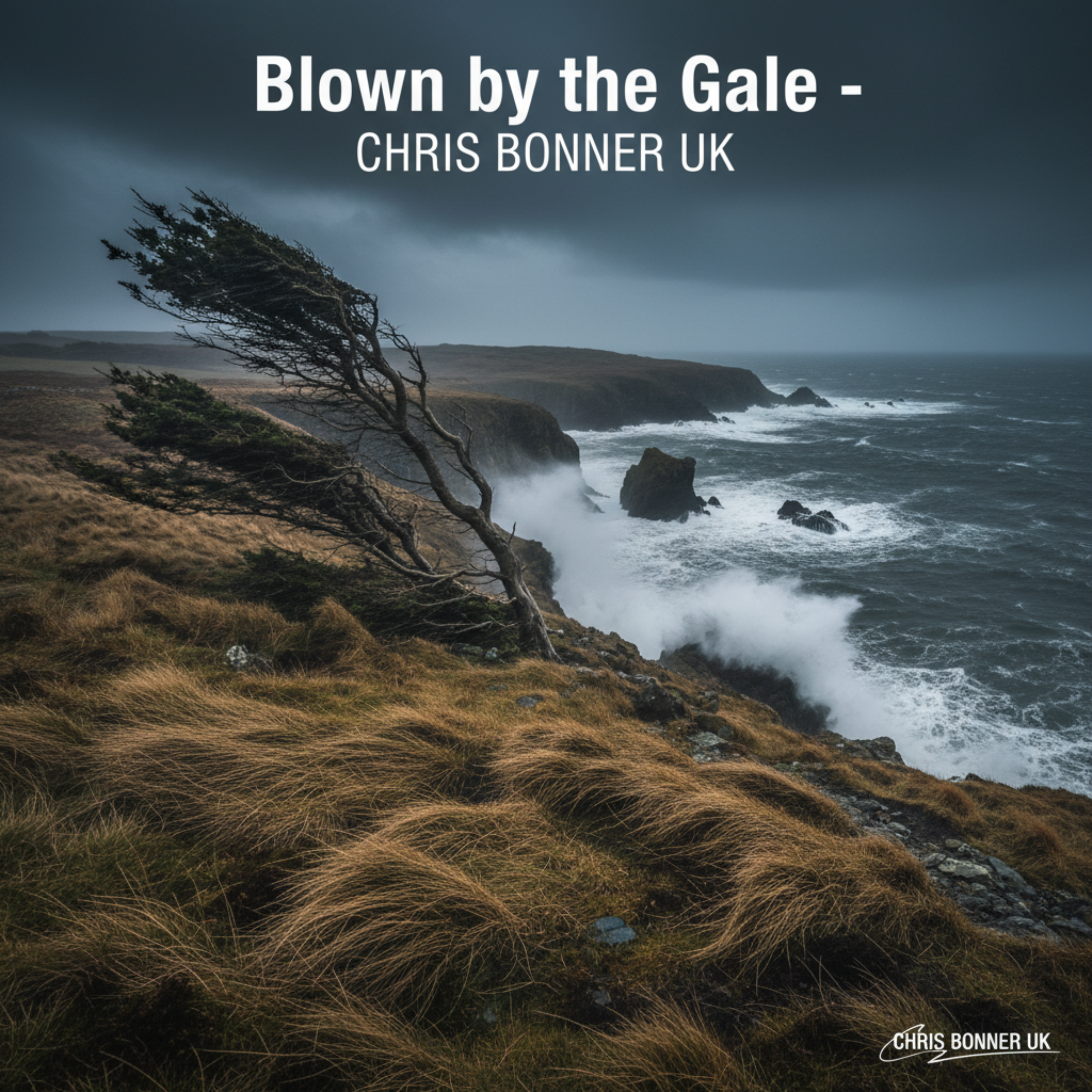 Blown by the Gale by Chris Bonner UK cover art