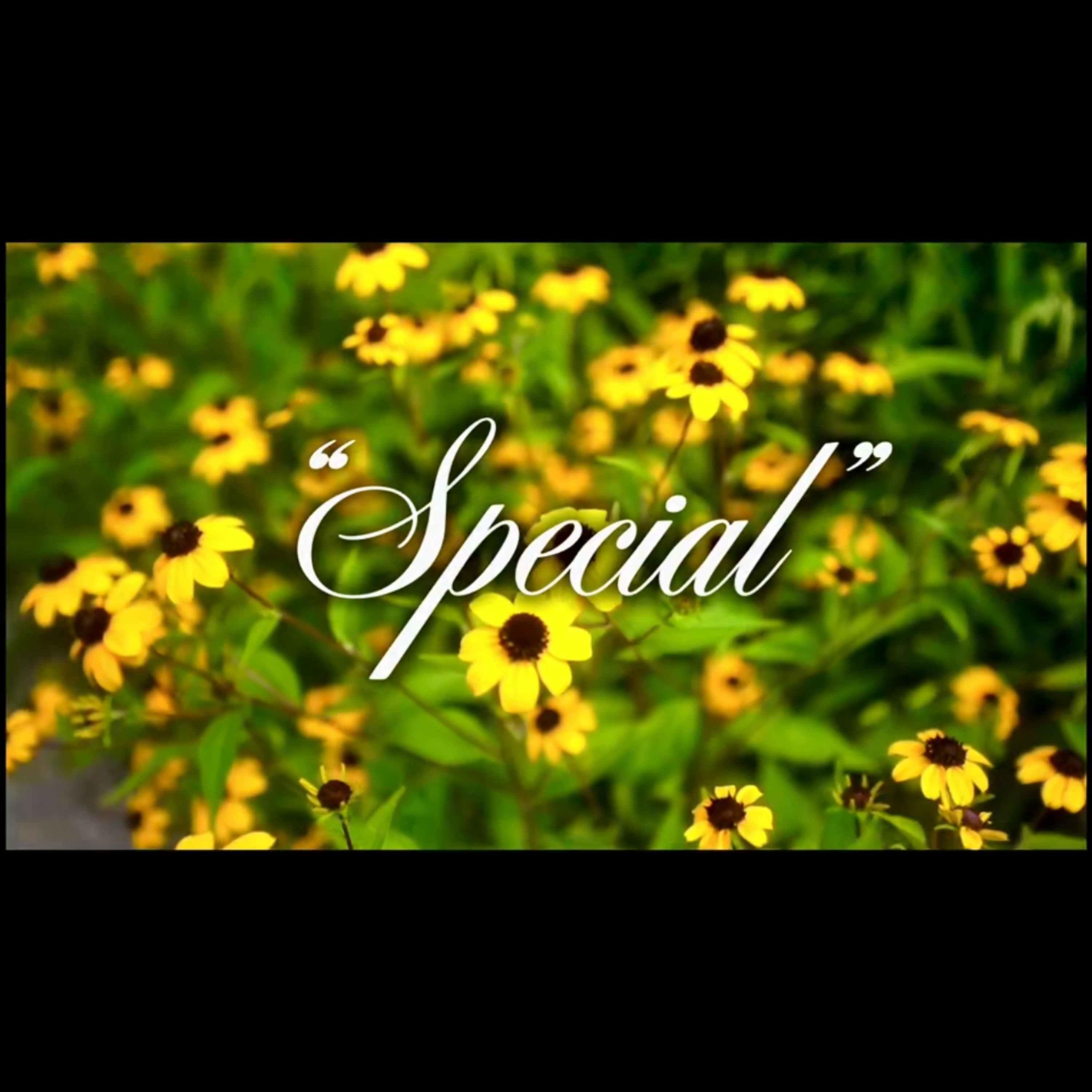 Special artwork