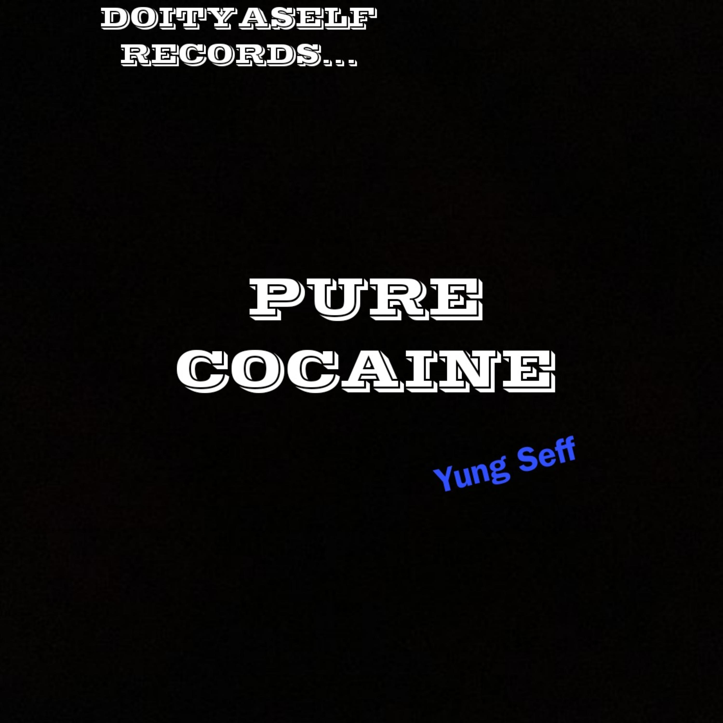 Pure Cocaine (Unfinished Version ) artwork