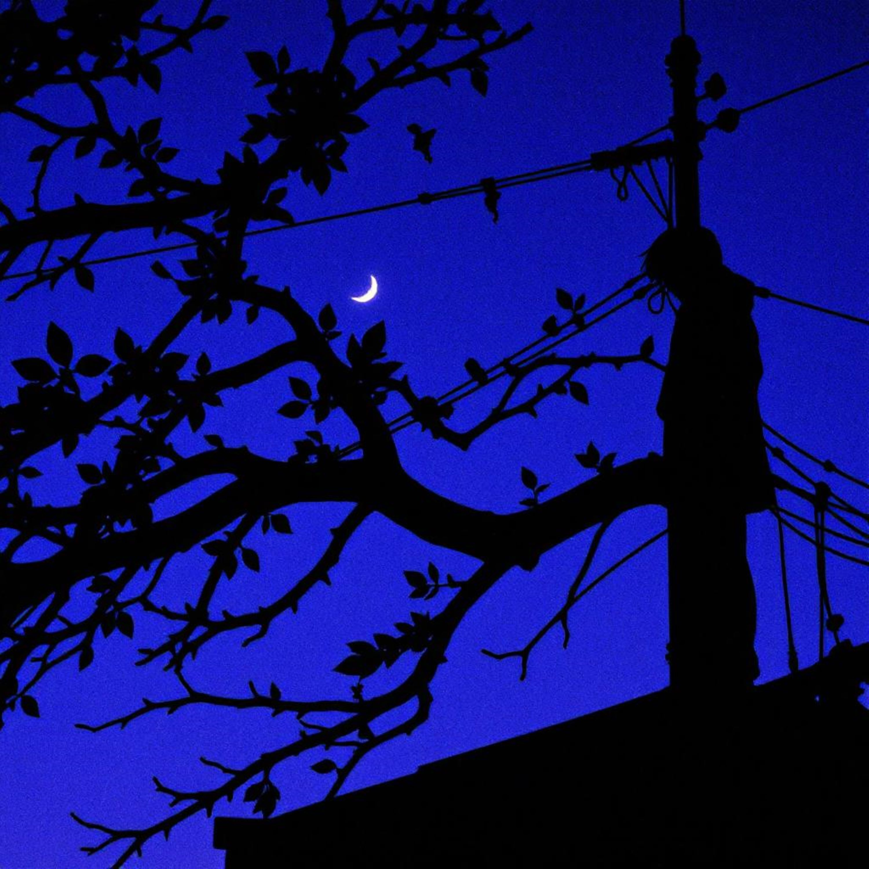 Moonlit Sky LoFi artwork