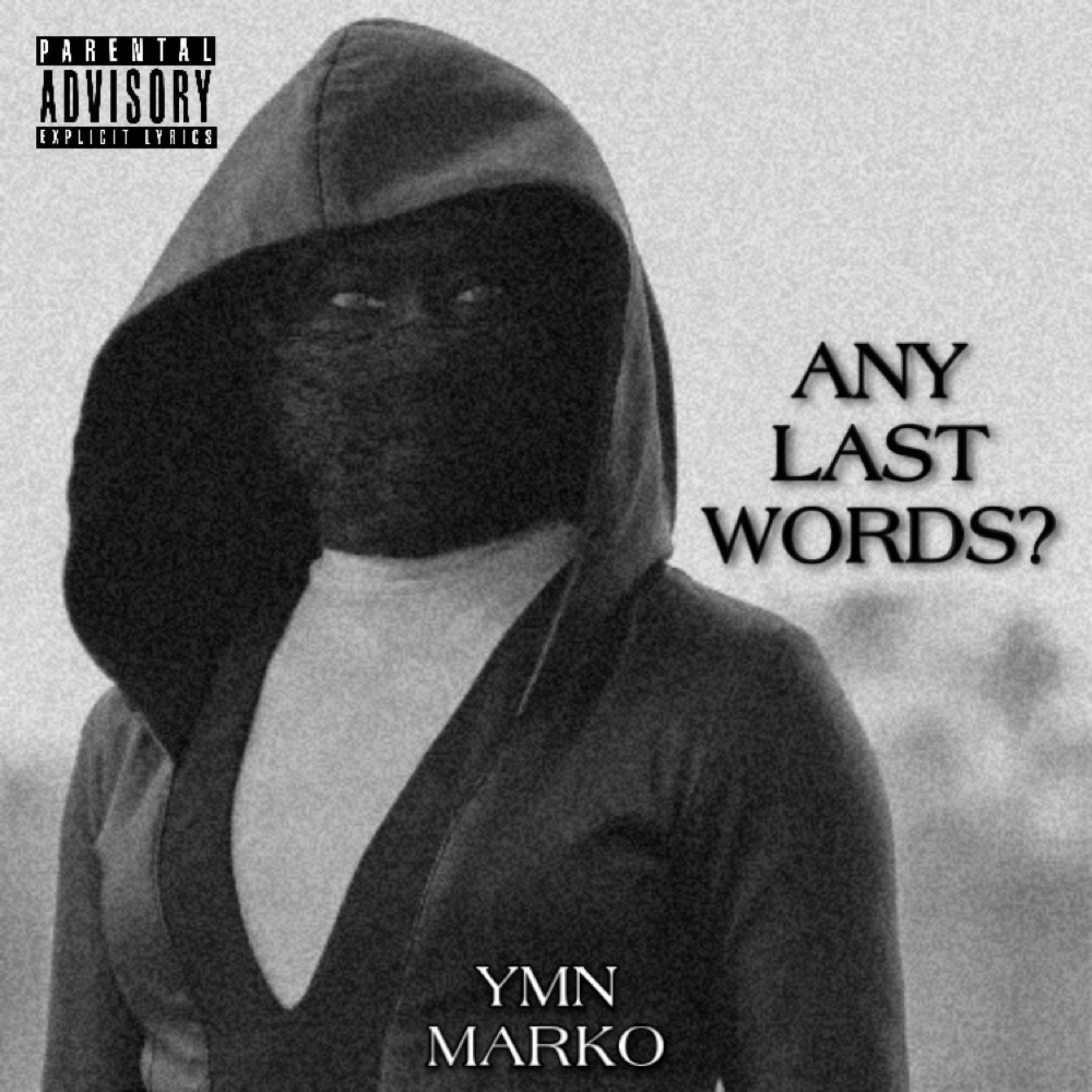 Any Last Words? artwork