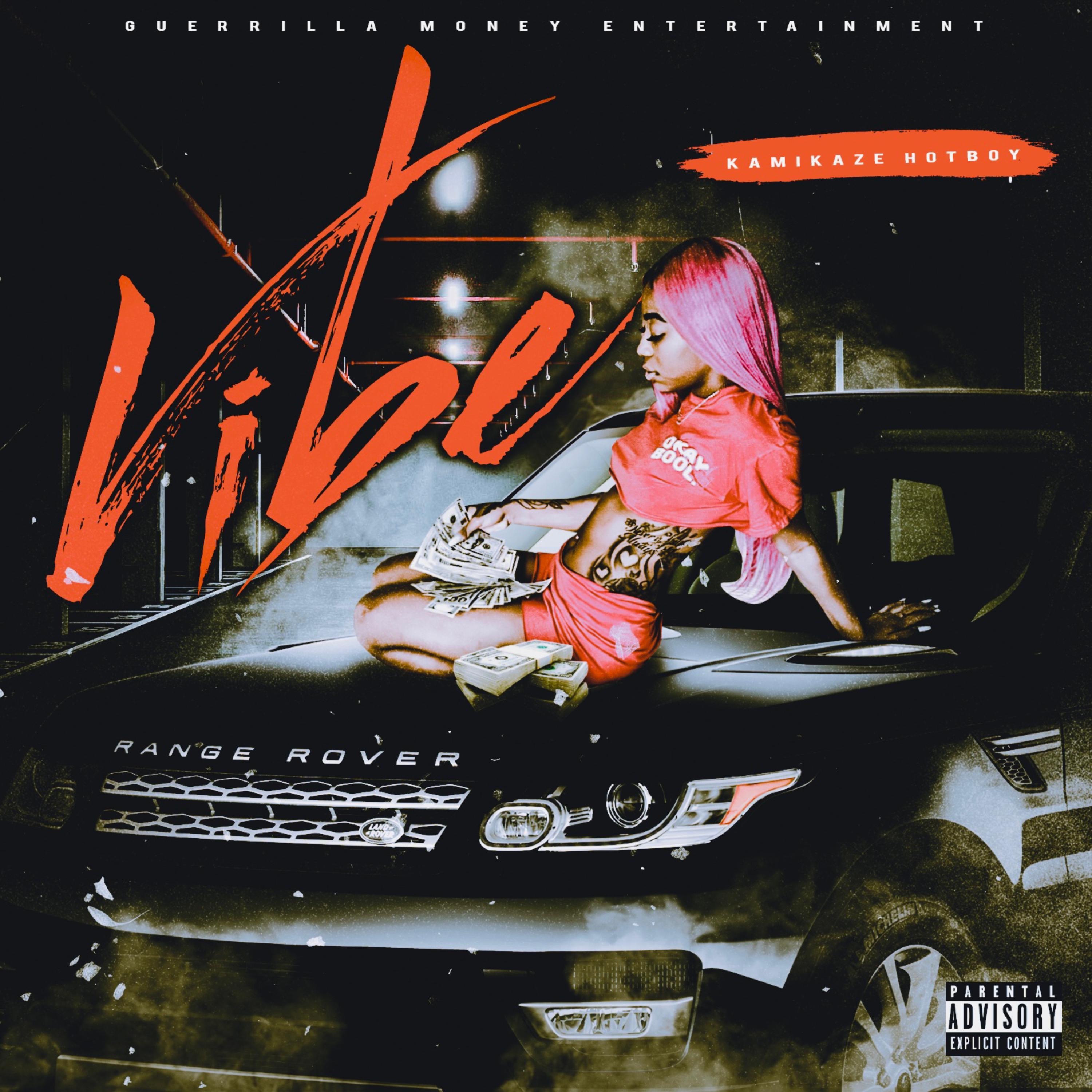 Vibe artwork