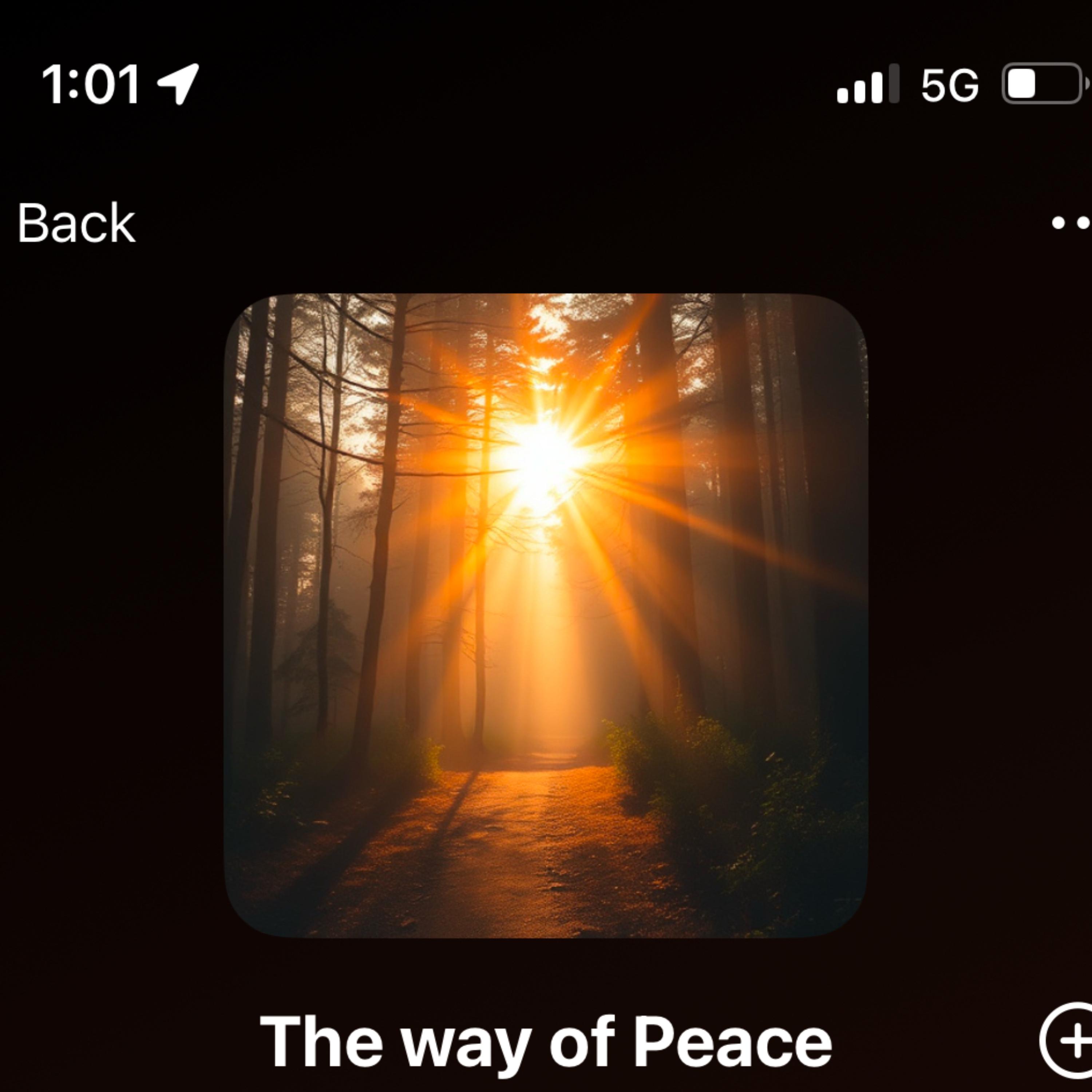 The way of Peace artwork