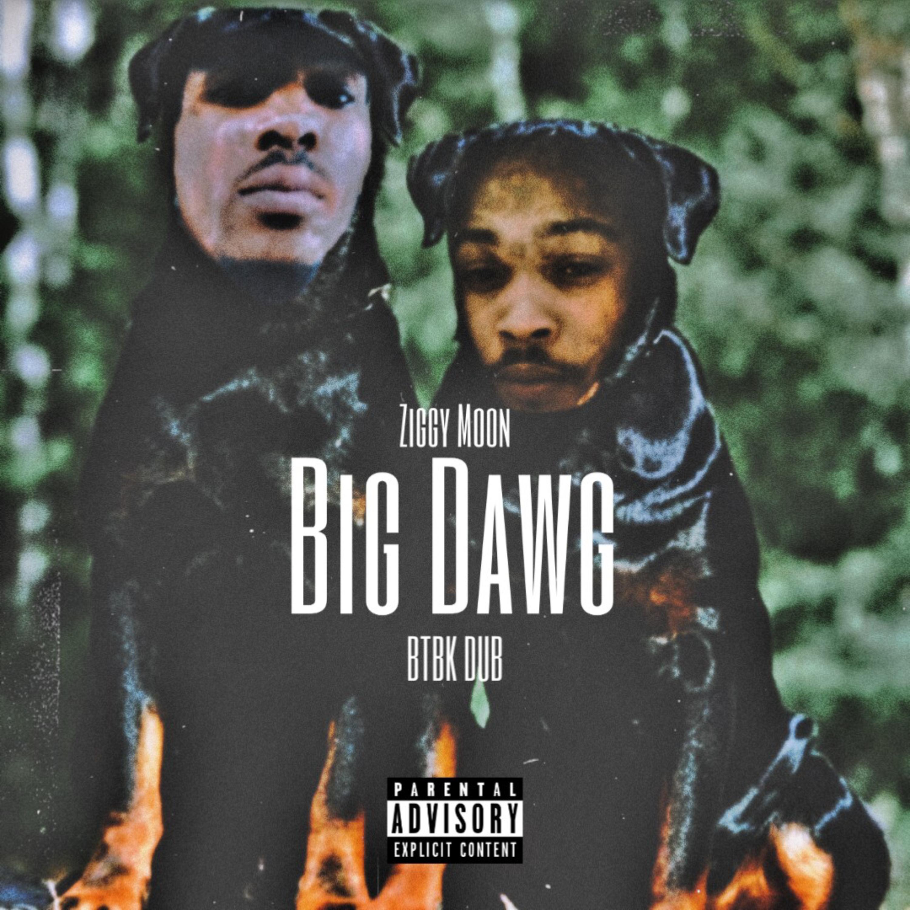 Big Dawg artwork