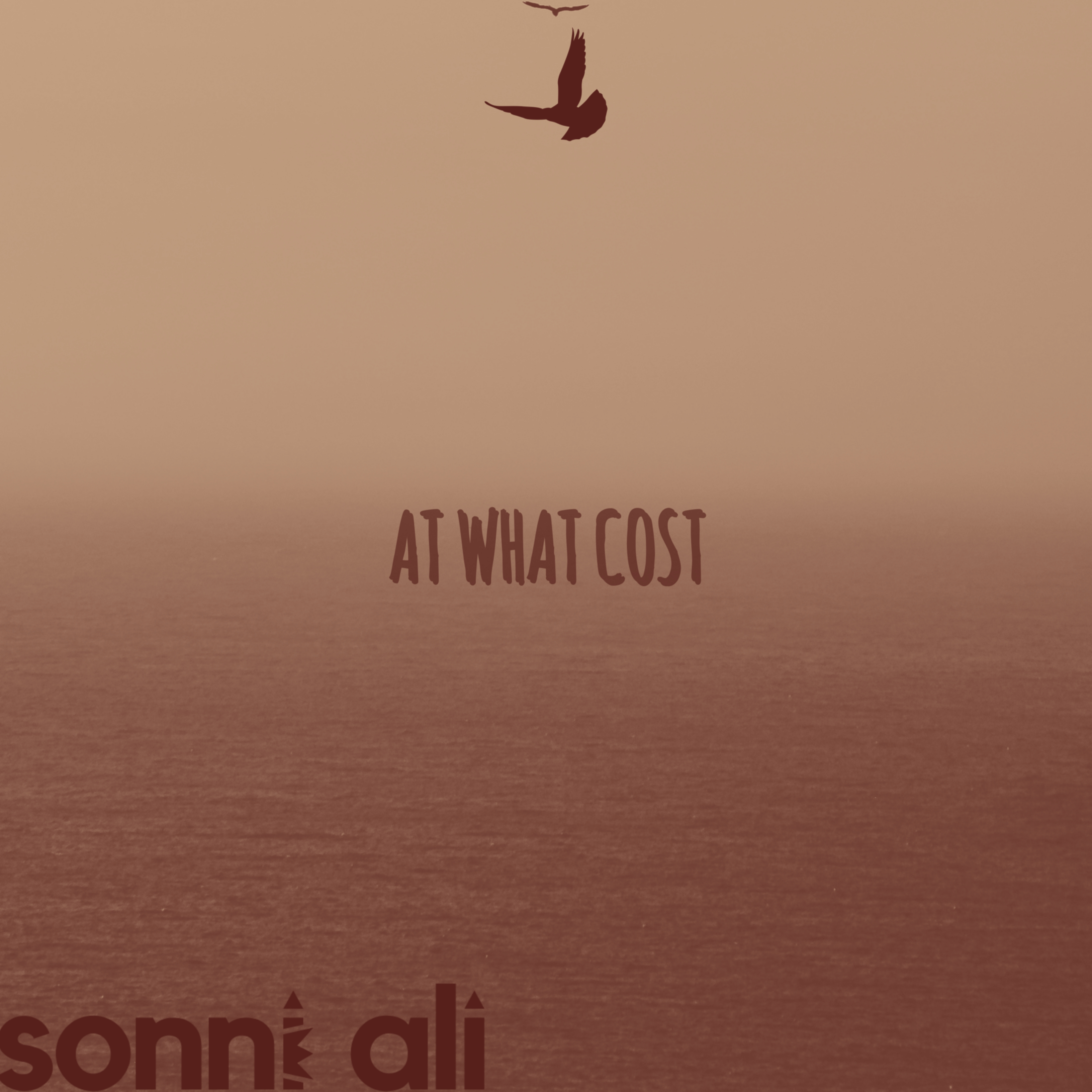 At What Cost (1.5) by Sonni Ali cover art
