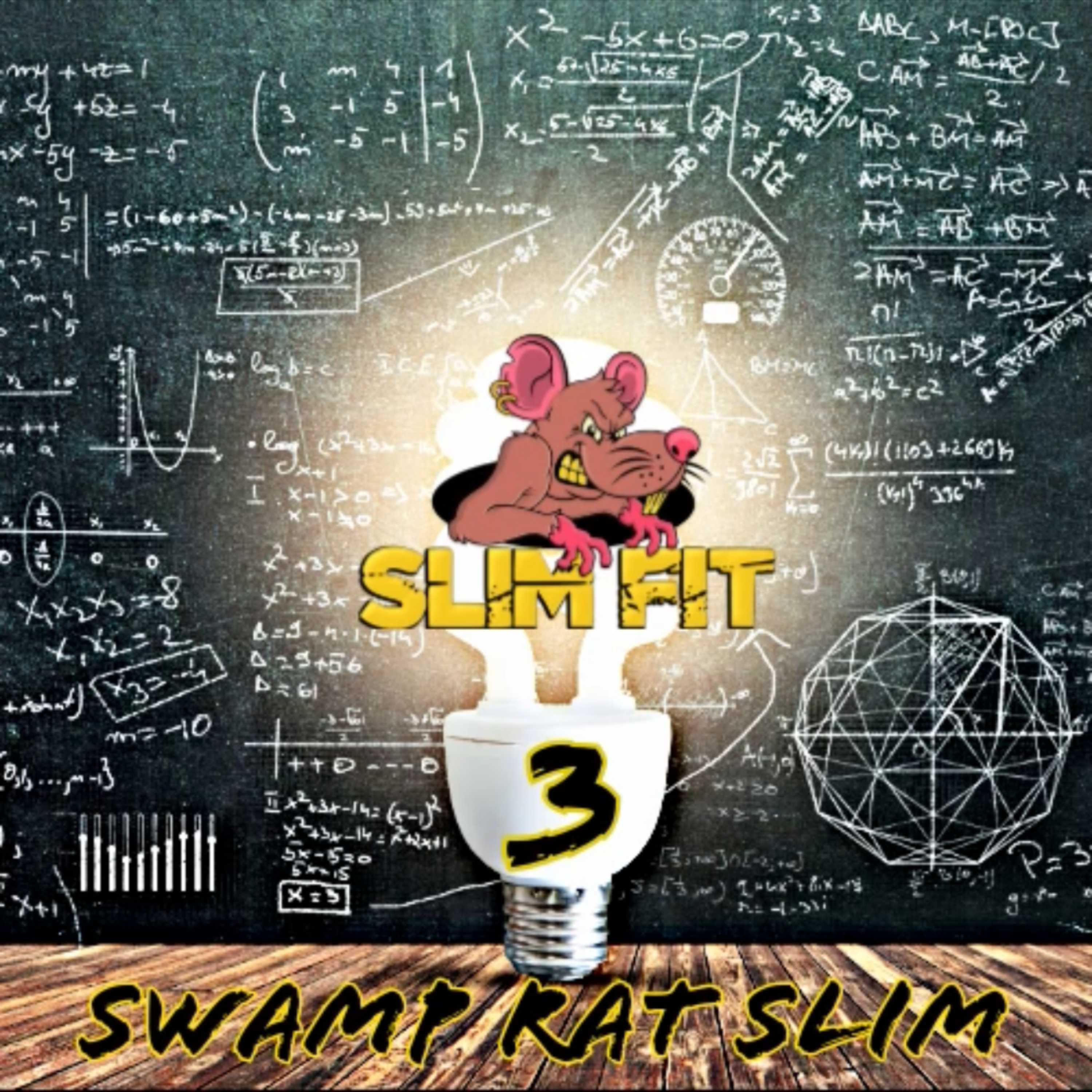 Slim Fit III artwork