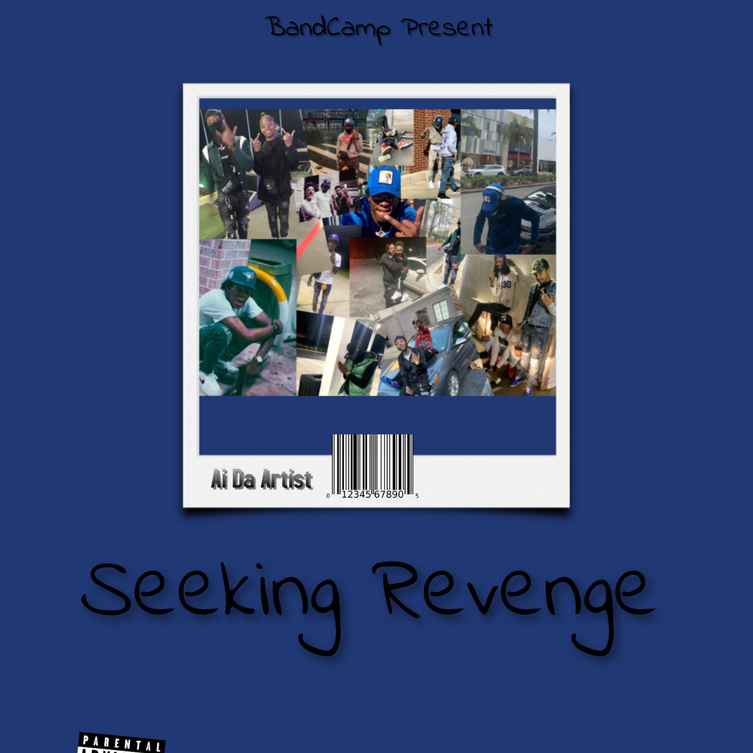 Seeking Revenge artwork
