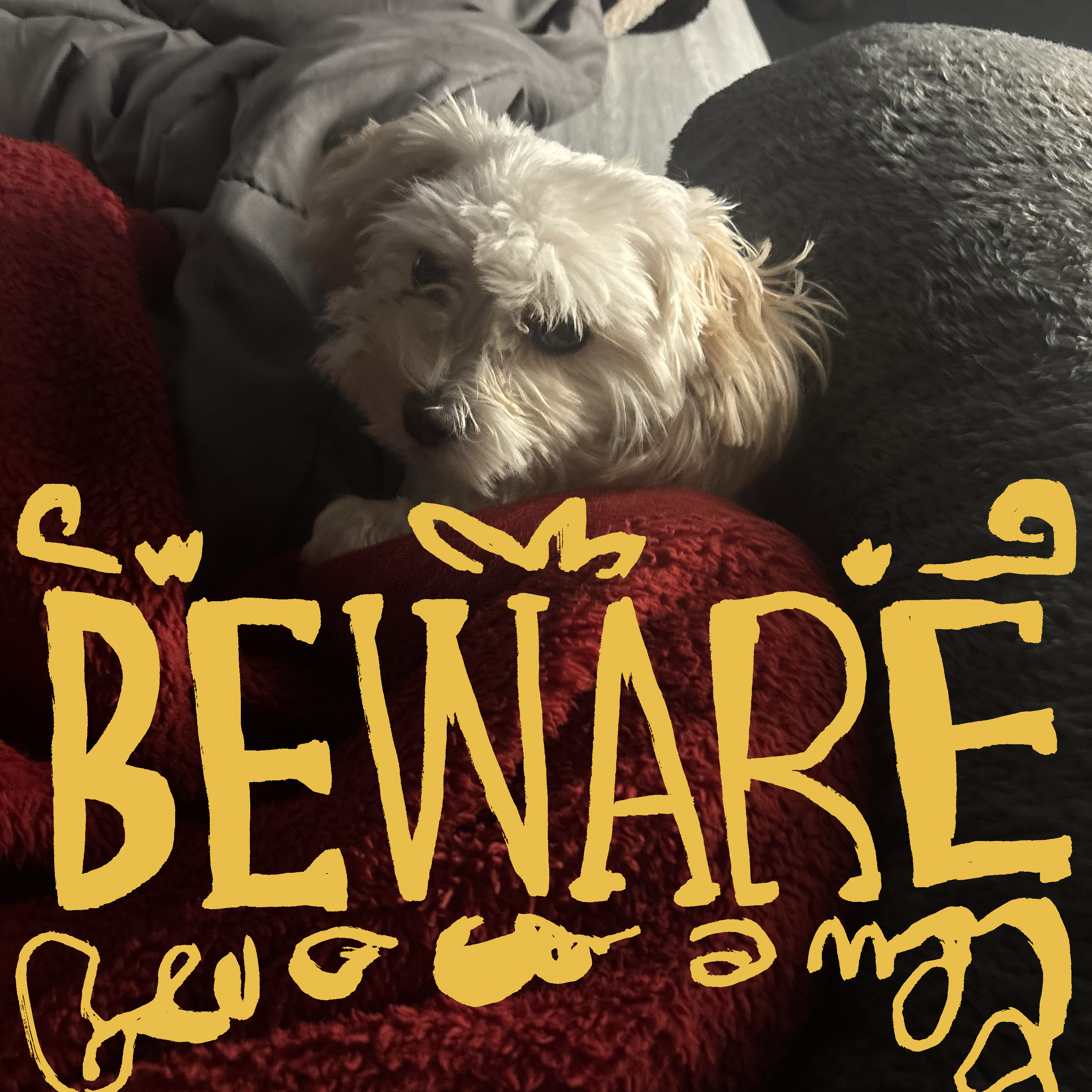 Beware artwork