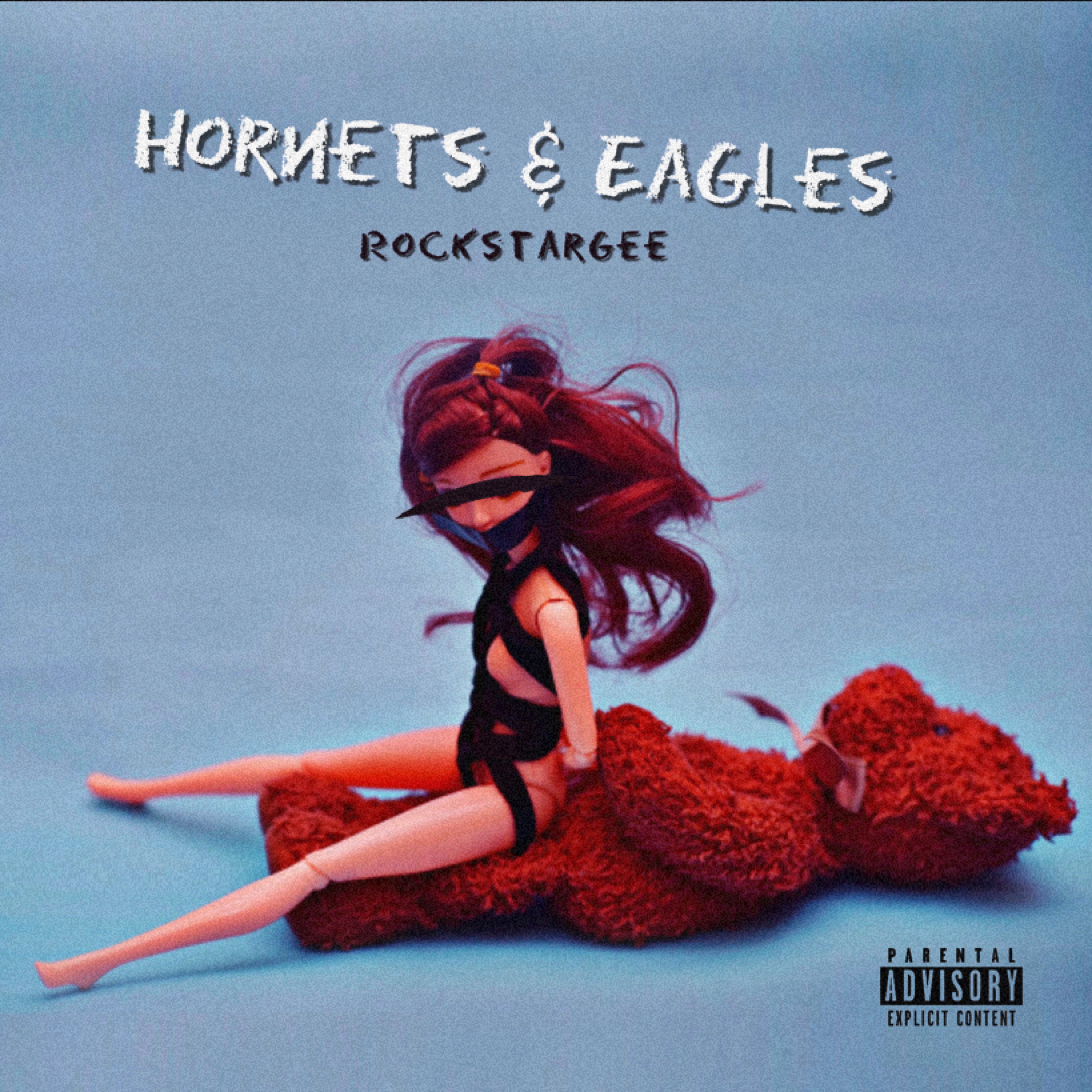 Hornets And Eagles artwork