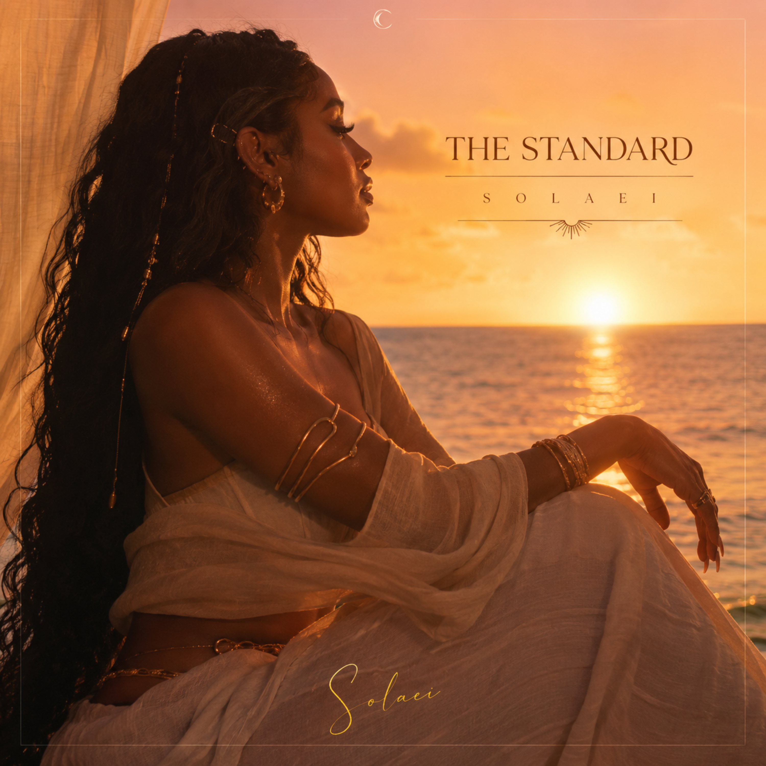 The Standard by SOLAEI cover art