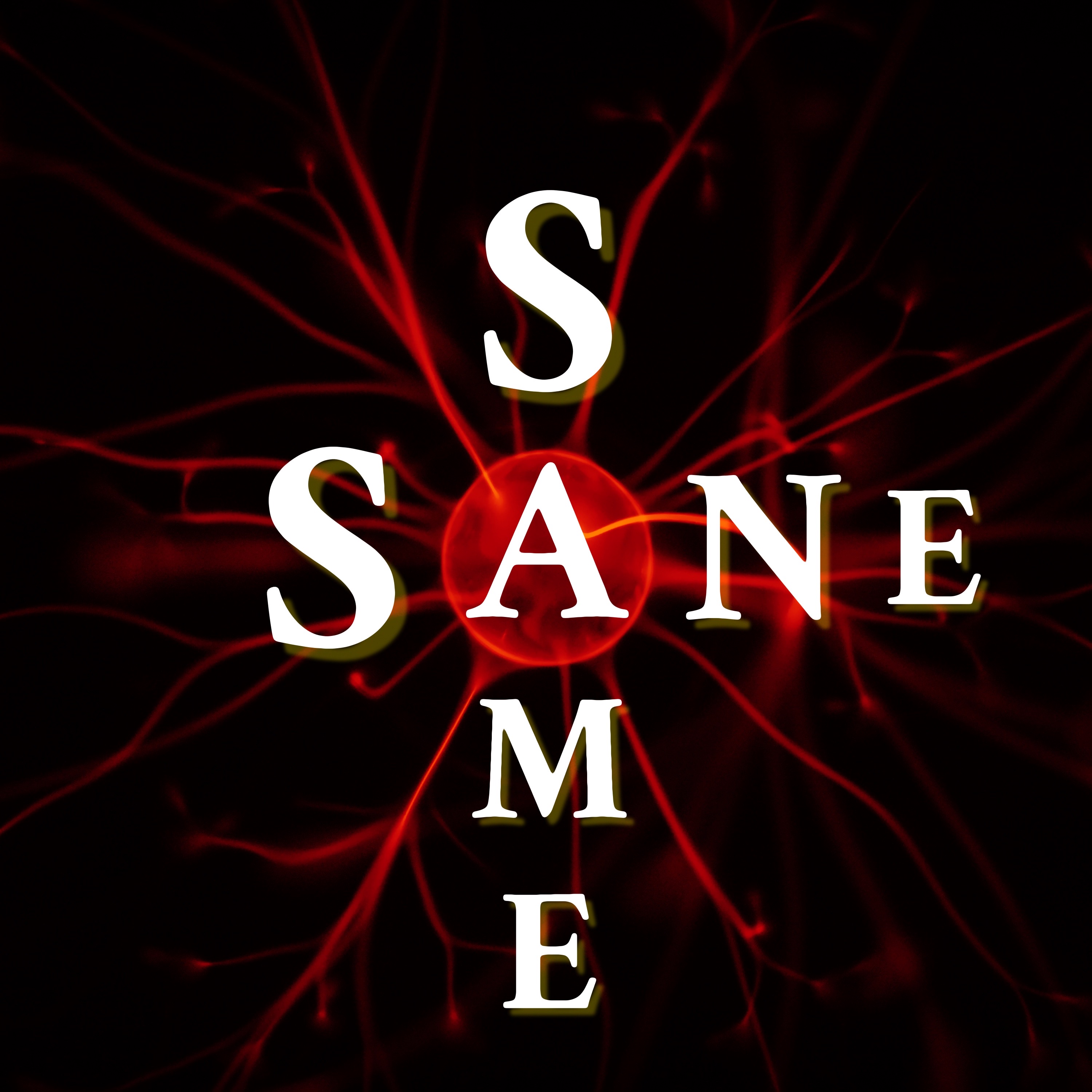 Same Sane artwork