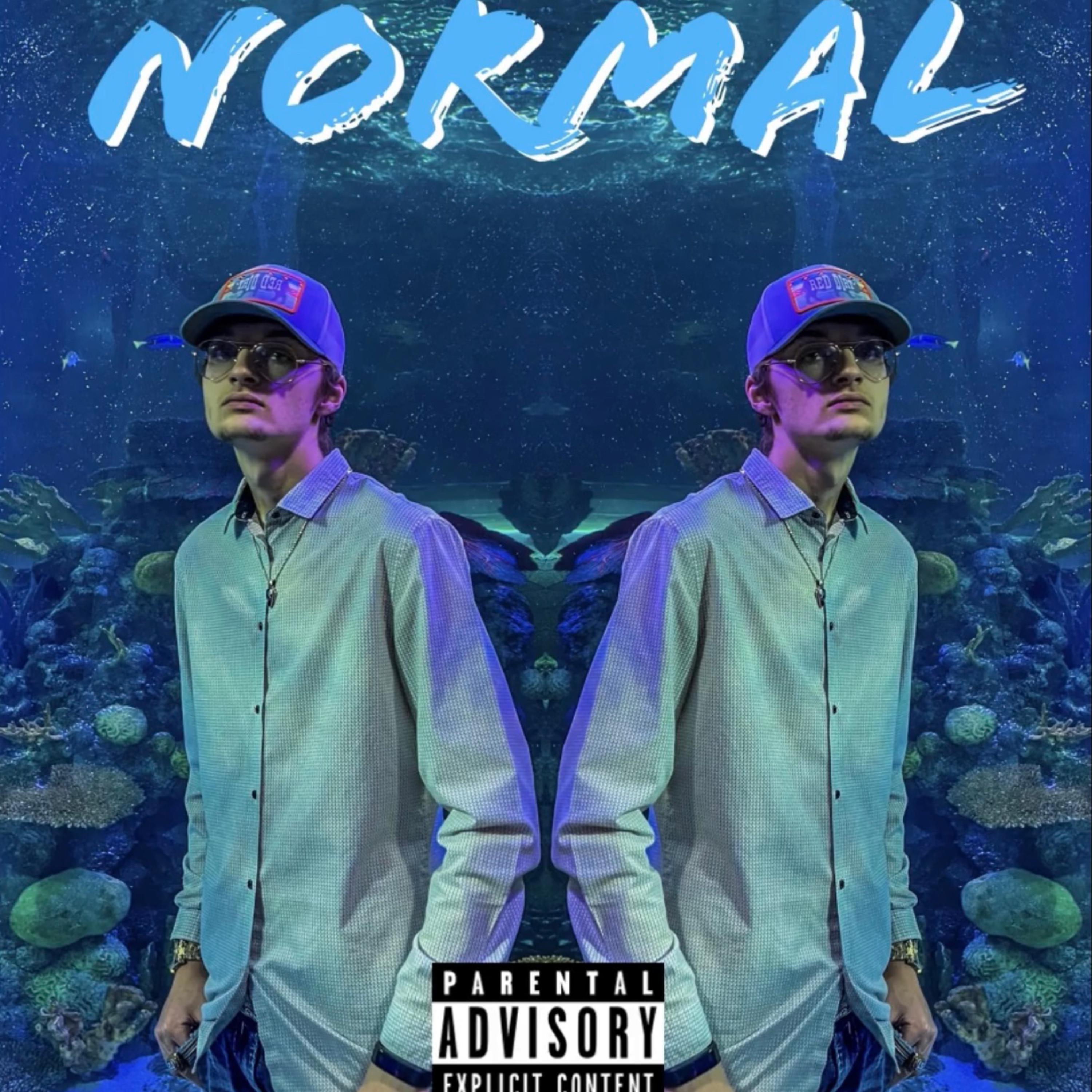 Normal artwork