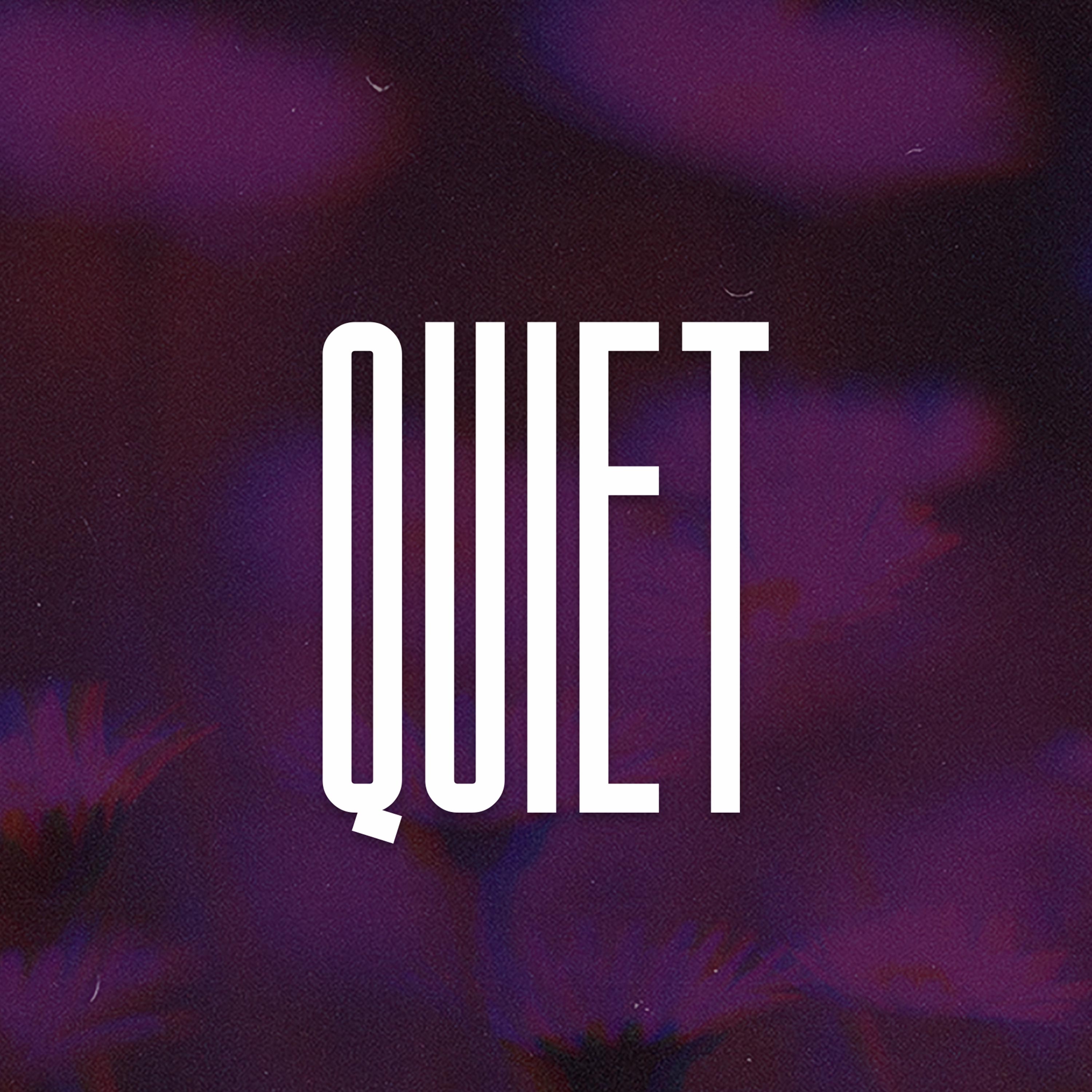 Quiet (Sexy Drill) artwork